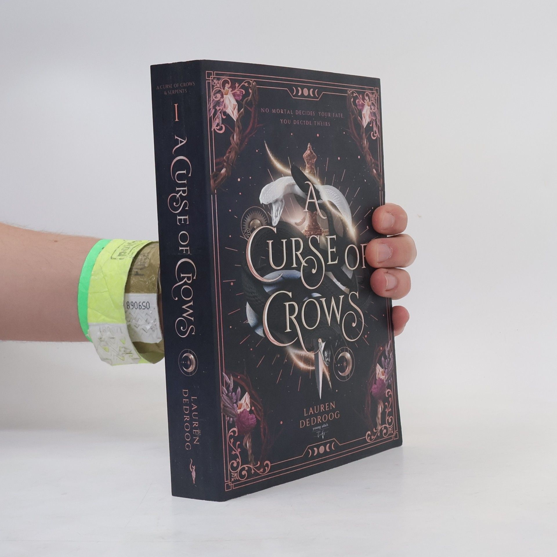 Lauren Dedroog A Curse of Crows
