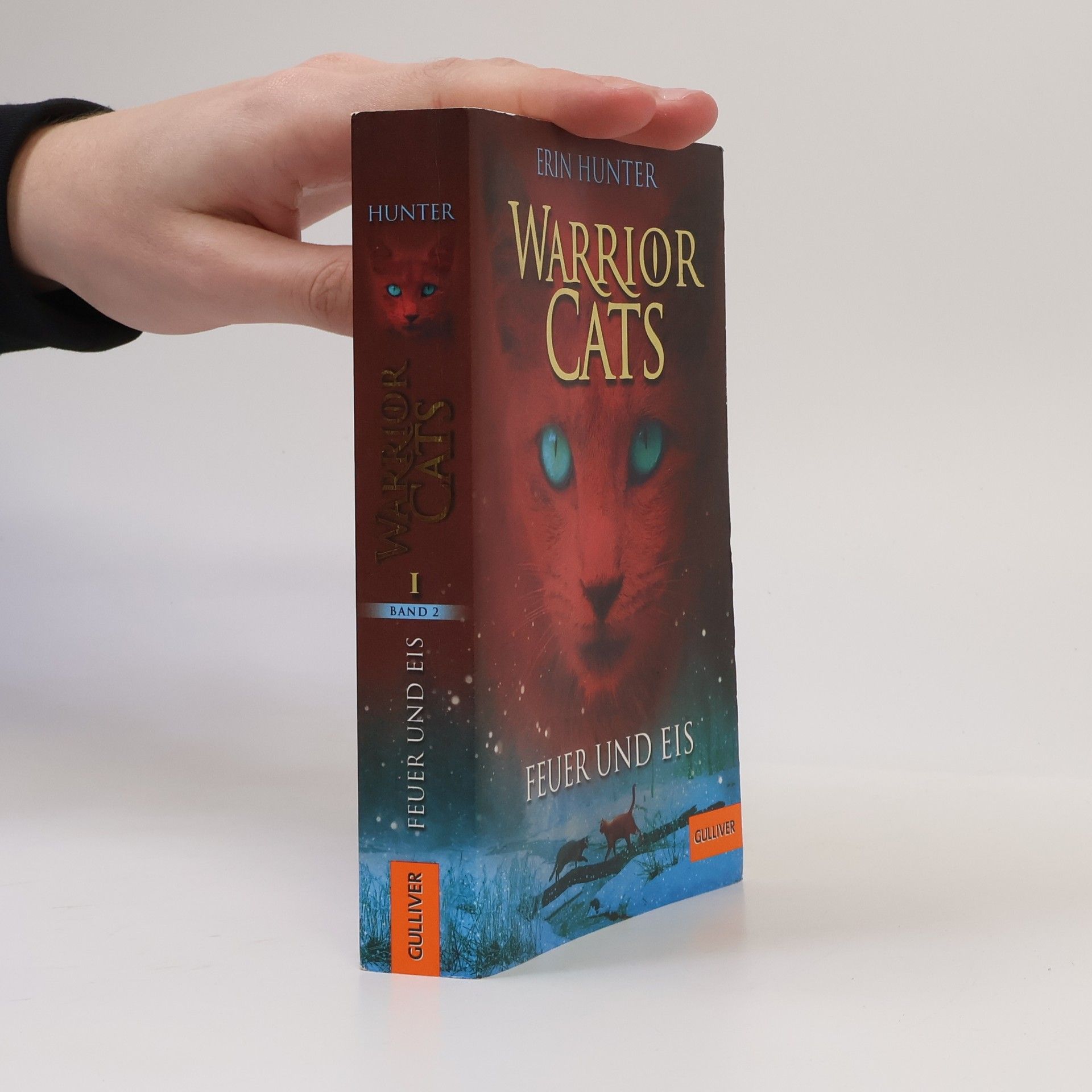 Erin Hunter Warrior Cats. Feuer und Eis