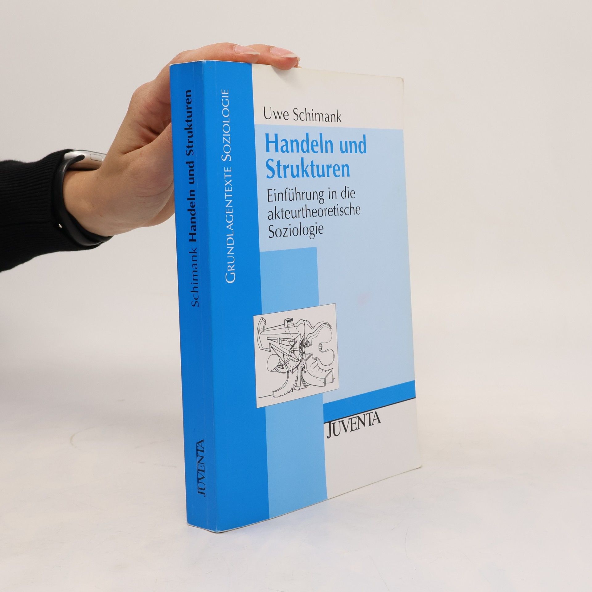Uwe Schimank Handeln und Strukturen