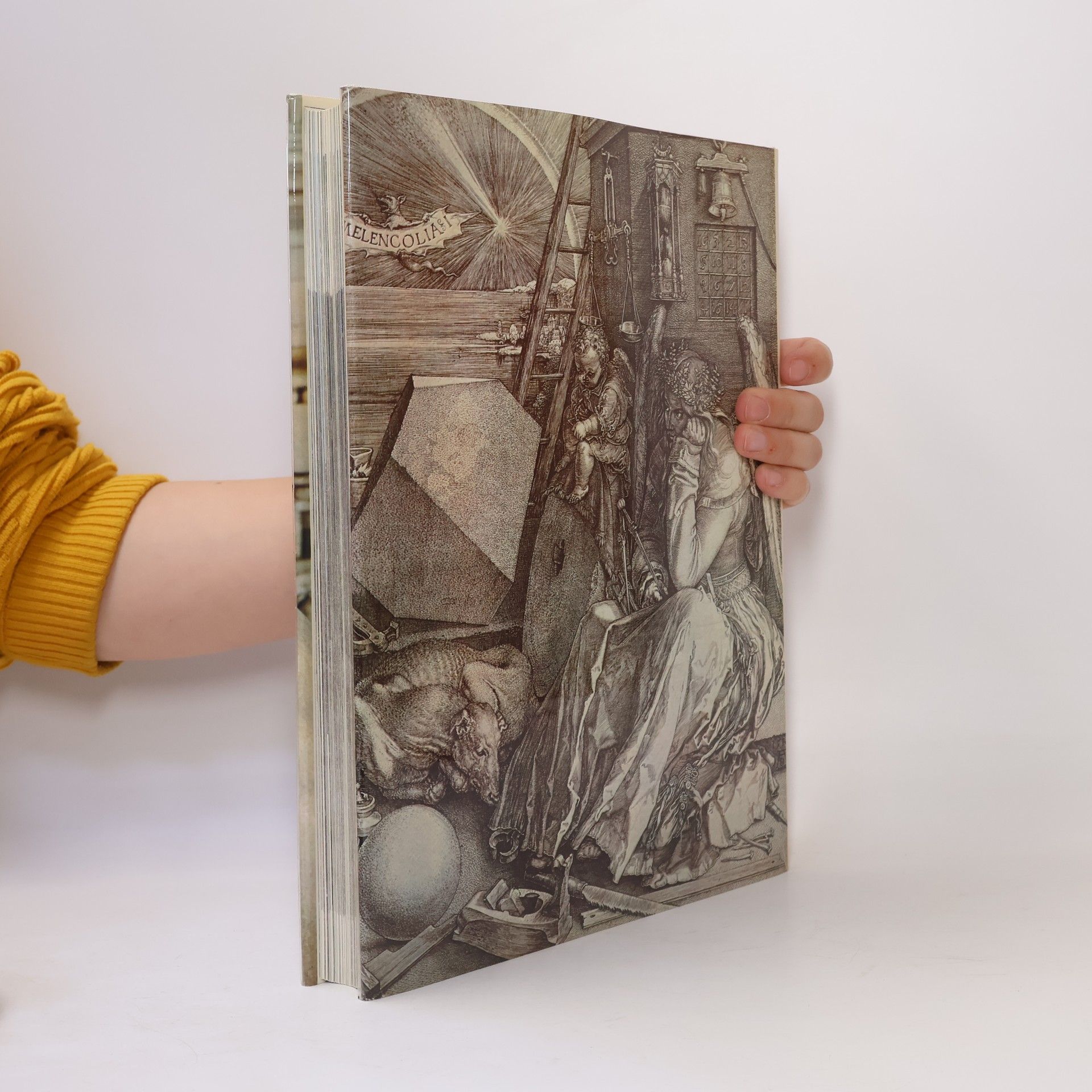 Josep Pijoan Dějiny umění 6
