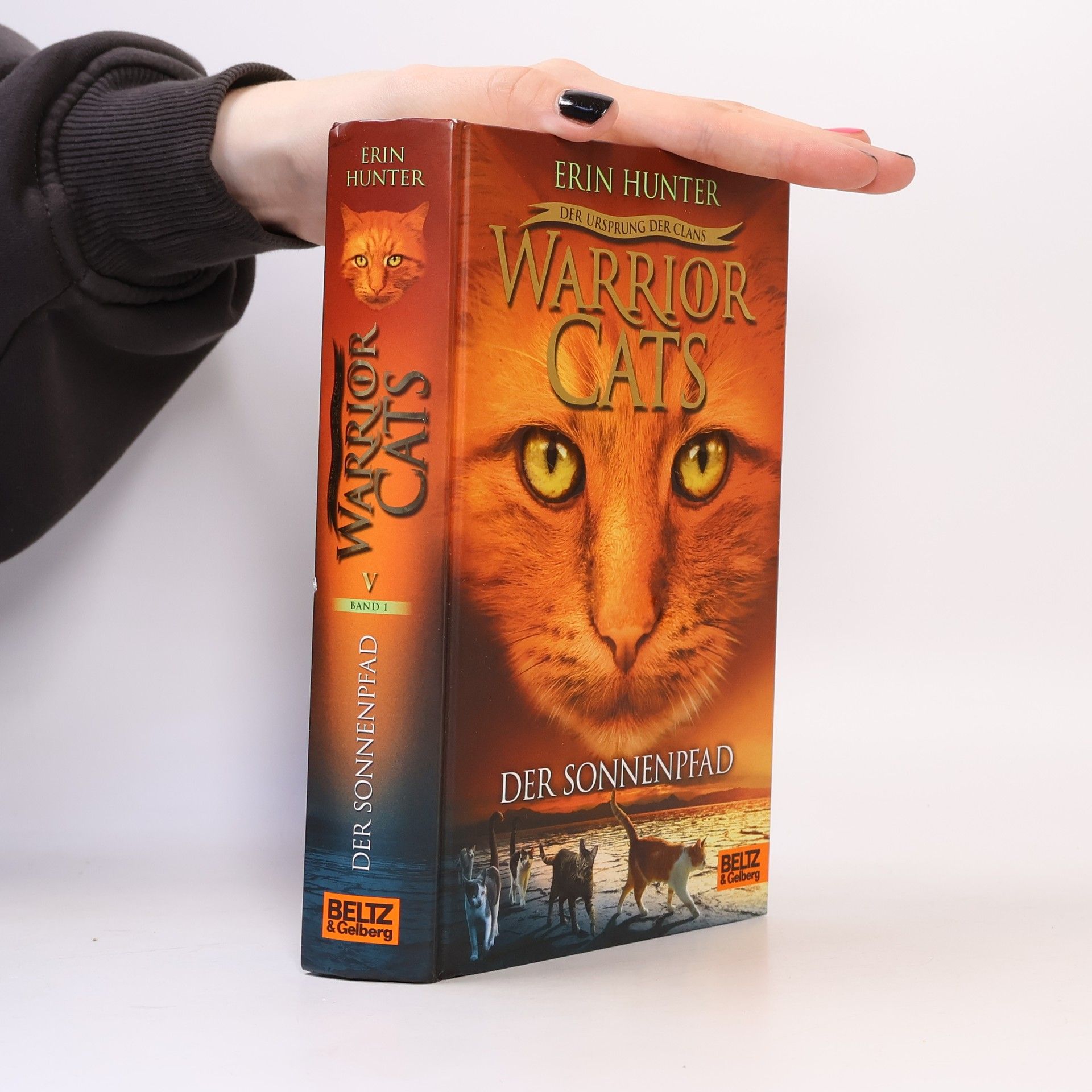 Erin Hunter Der Sonnenpfad