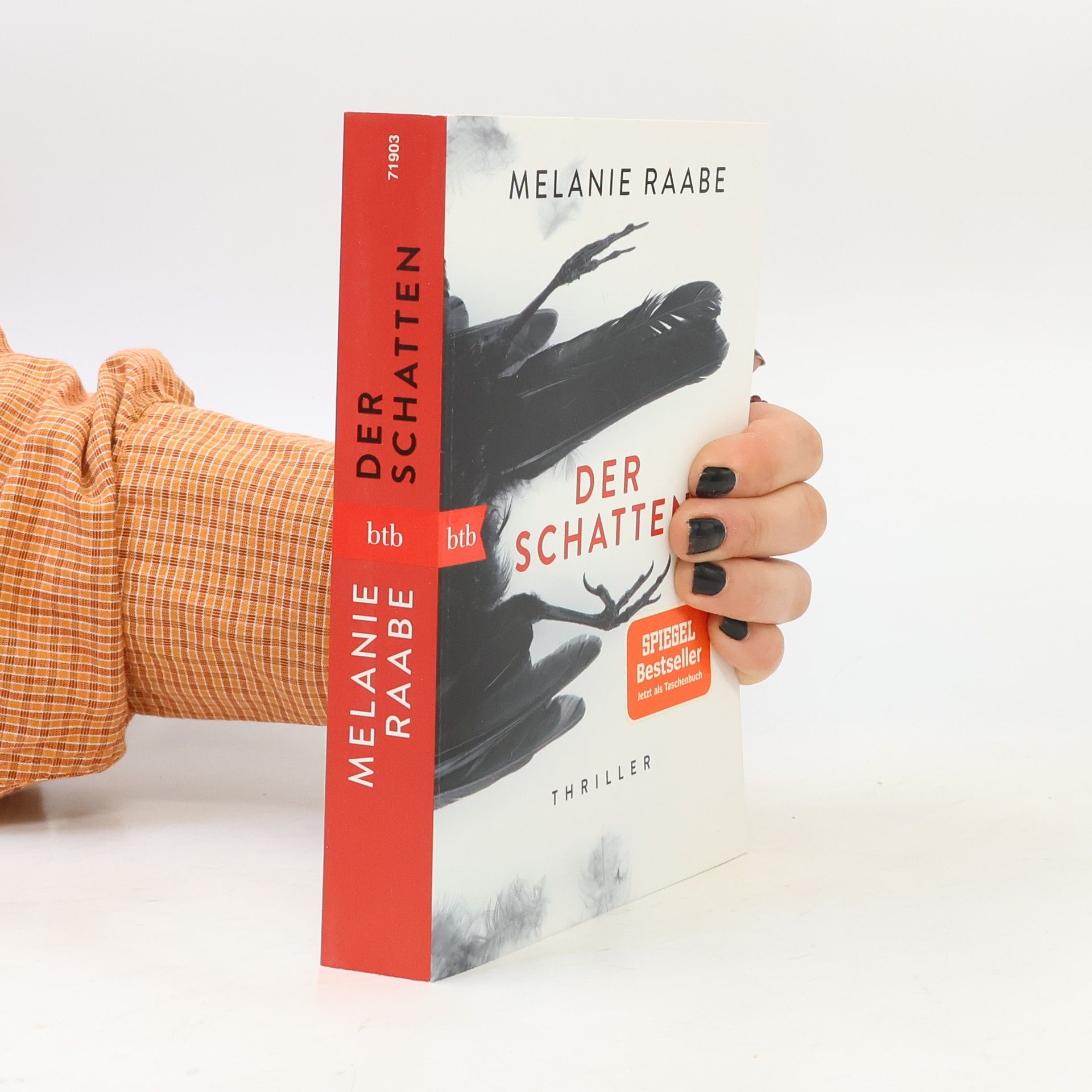 Melanie Raabe Der Schatten