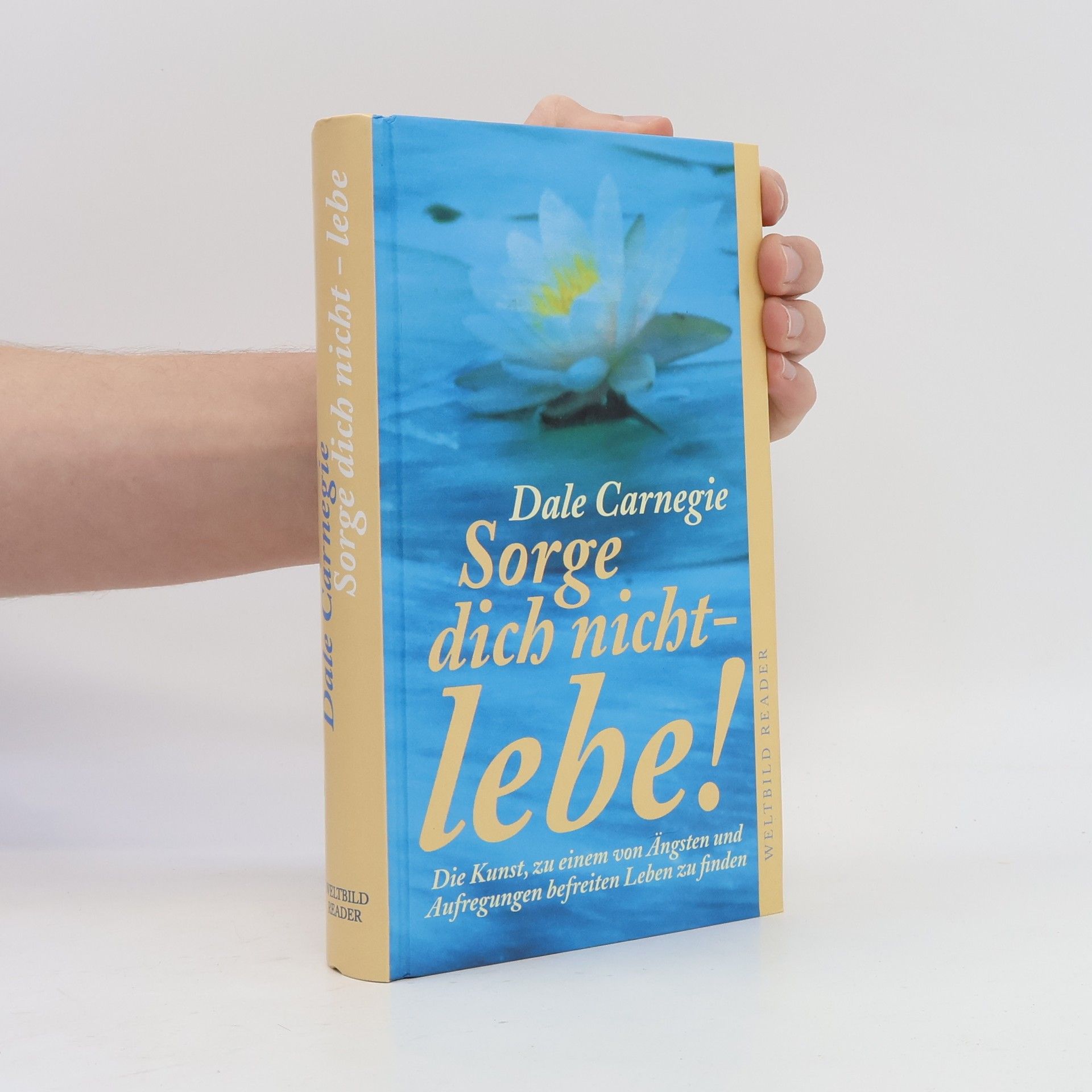 Dale Carnegie Sorge dich nicht - lebe!