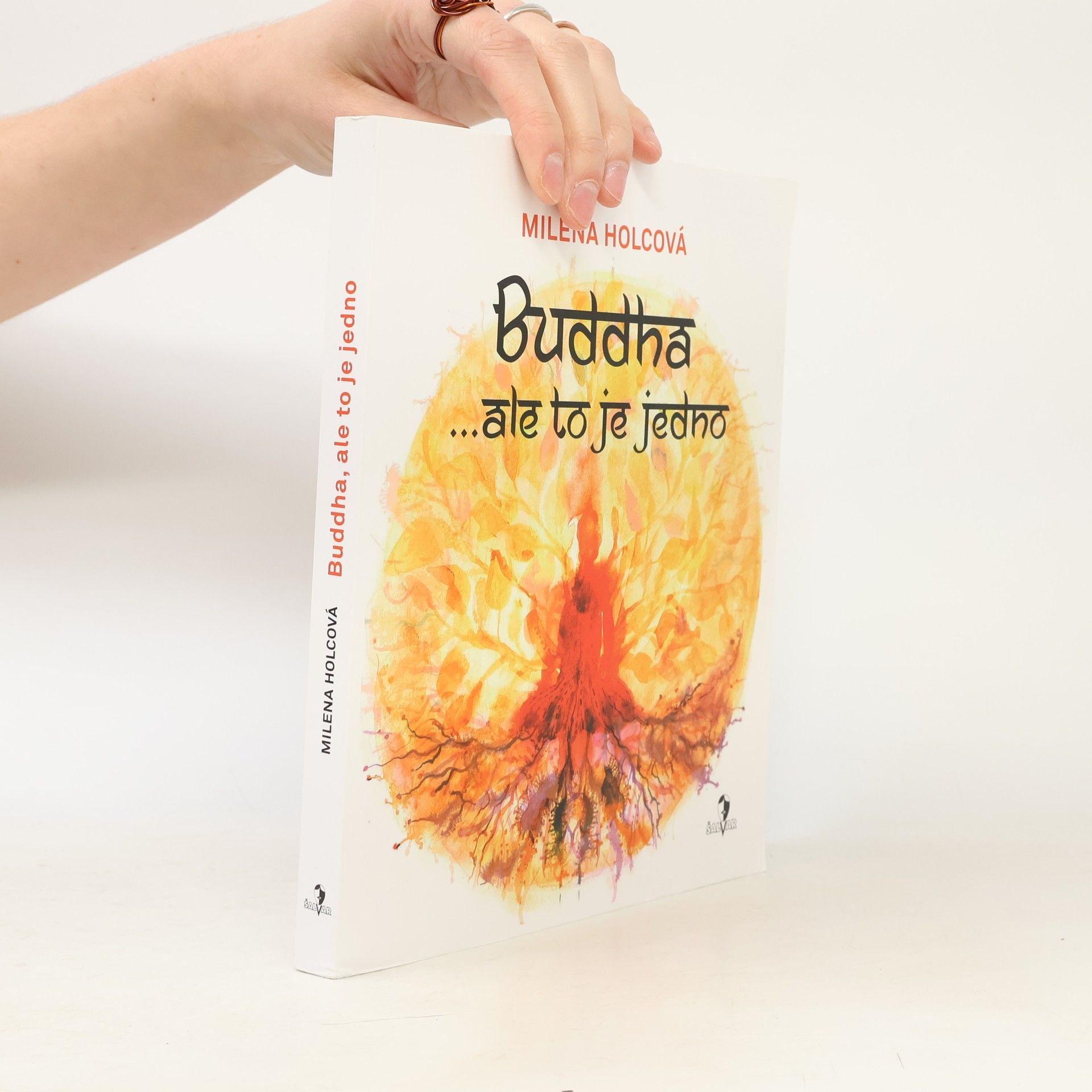 Milena Holcová Buddha ...ale to je jedno