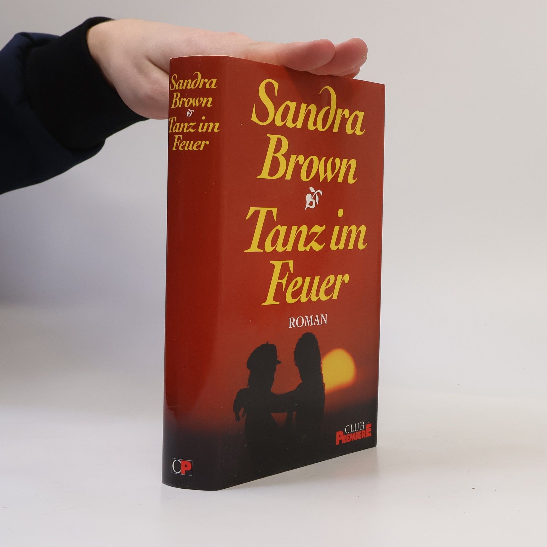 Sandra Brown Tanz im Feuer