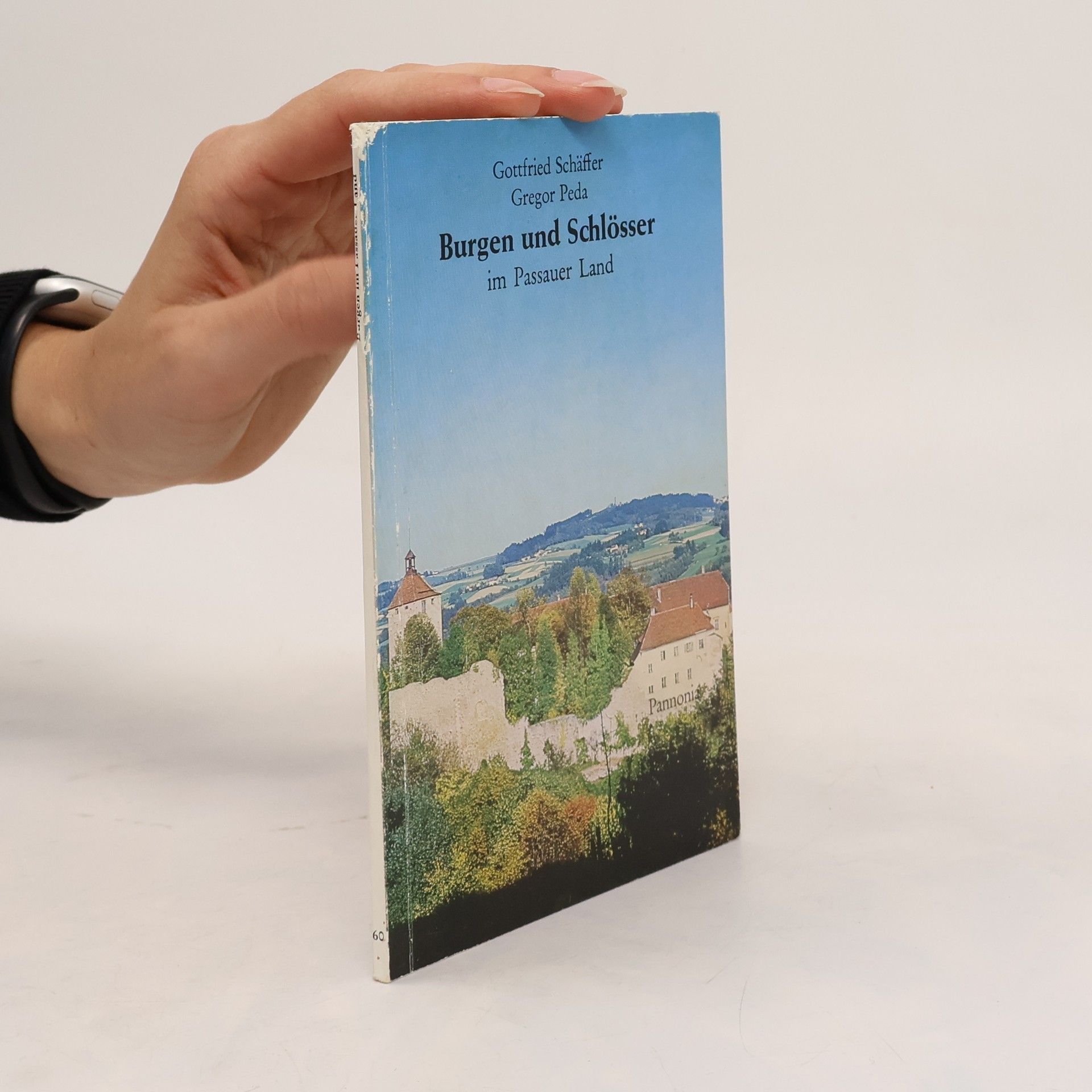 Gottfried Schäffer Burgen und Schlösser im Passauer Land