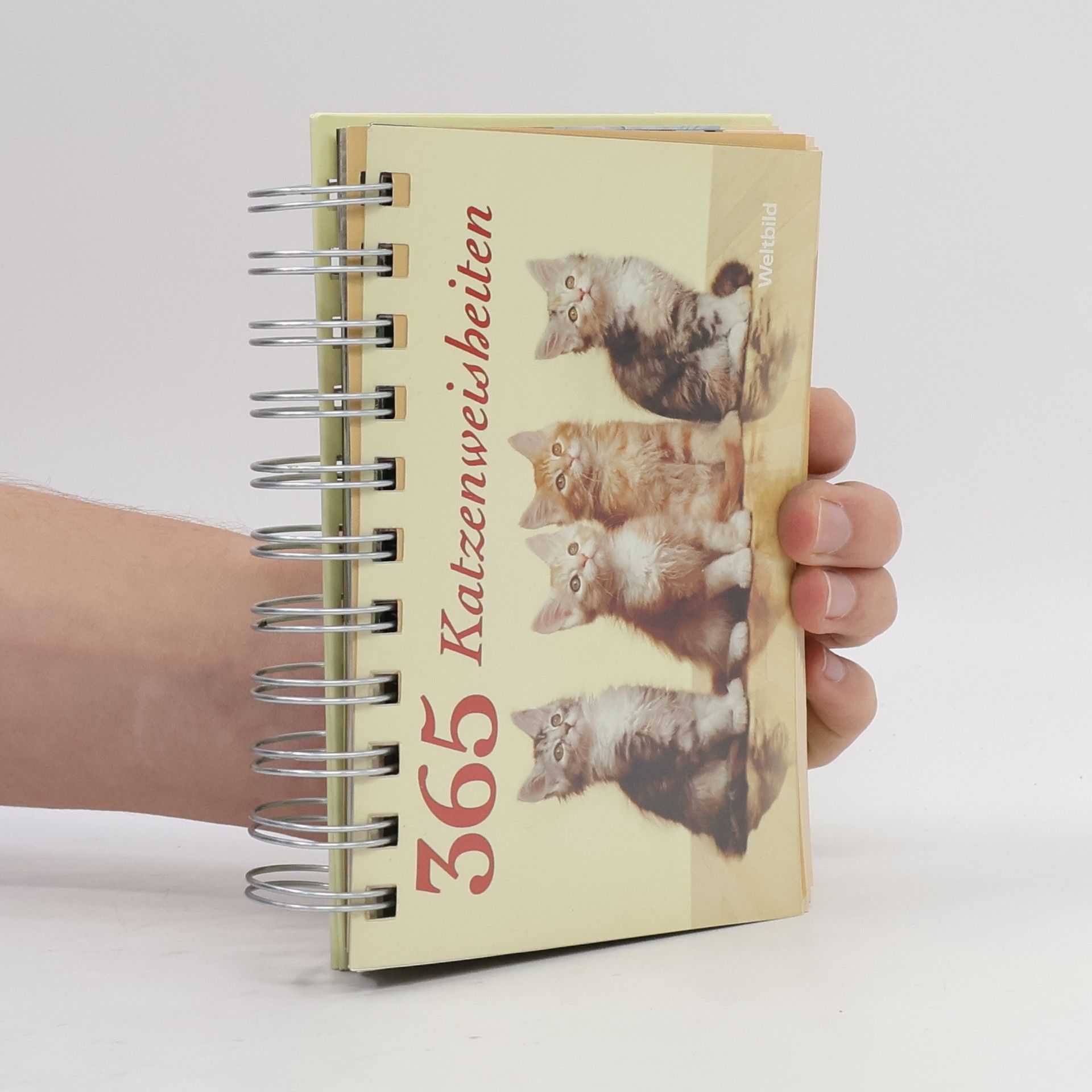 365 Katzenweisheiten