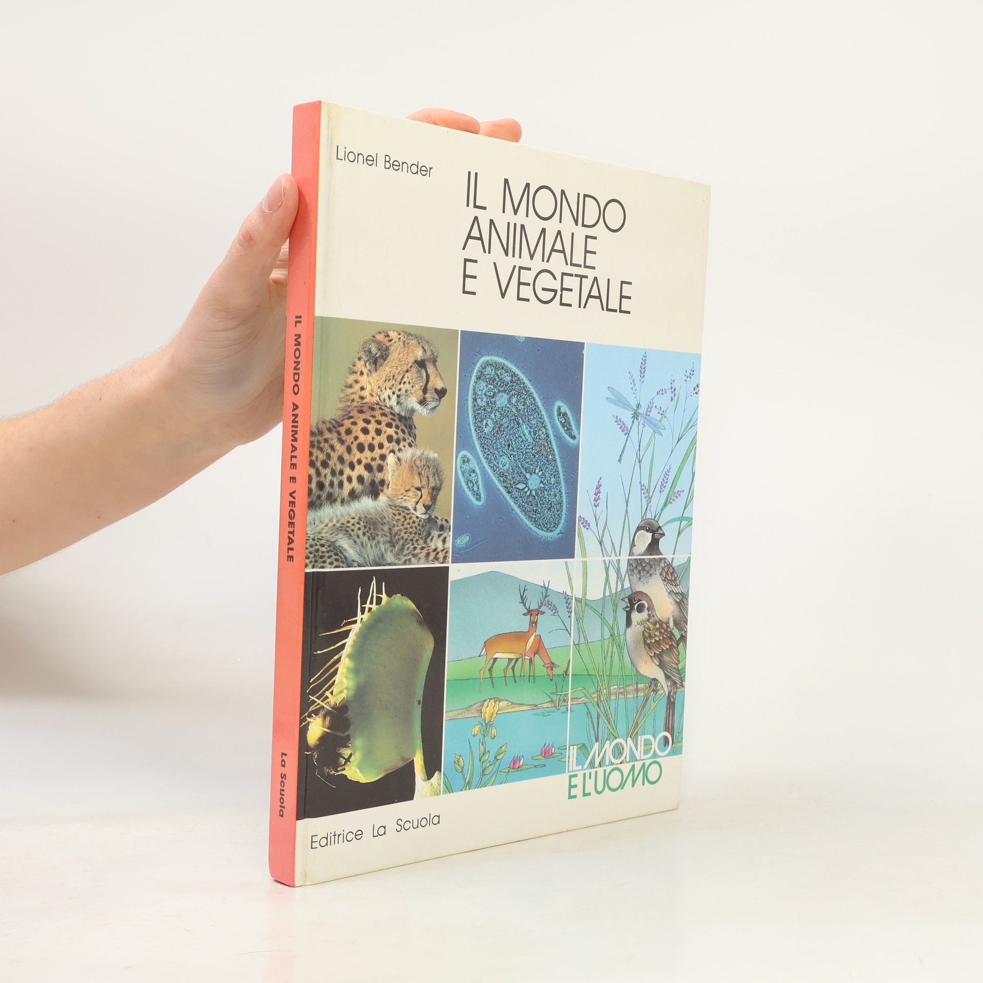 Lionel Bender Il mondo animale e vegetale