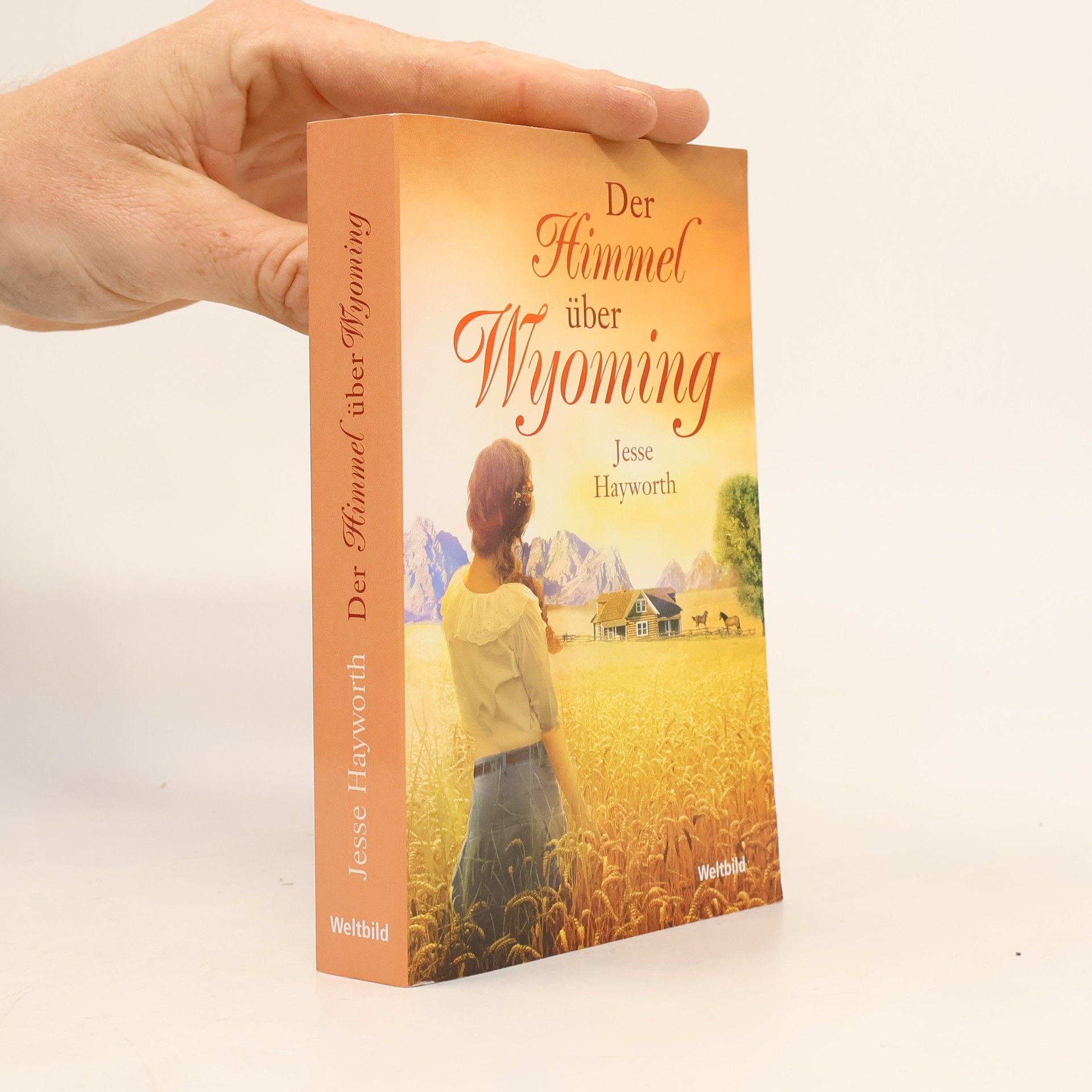 Jesse Hayworth Der Himmel über Wyoming