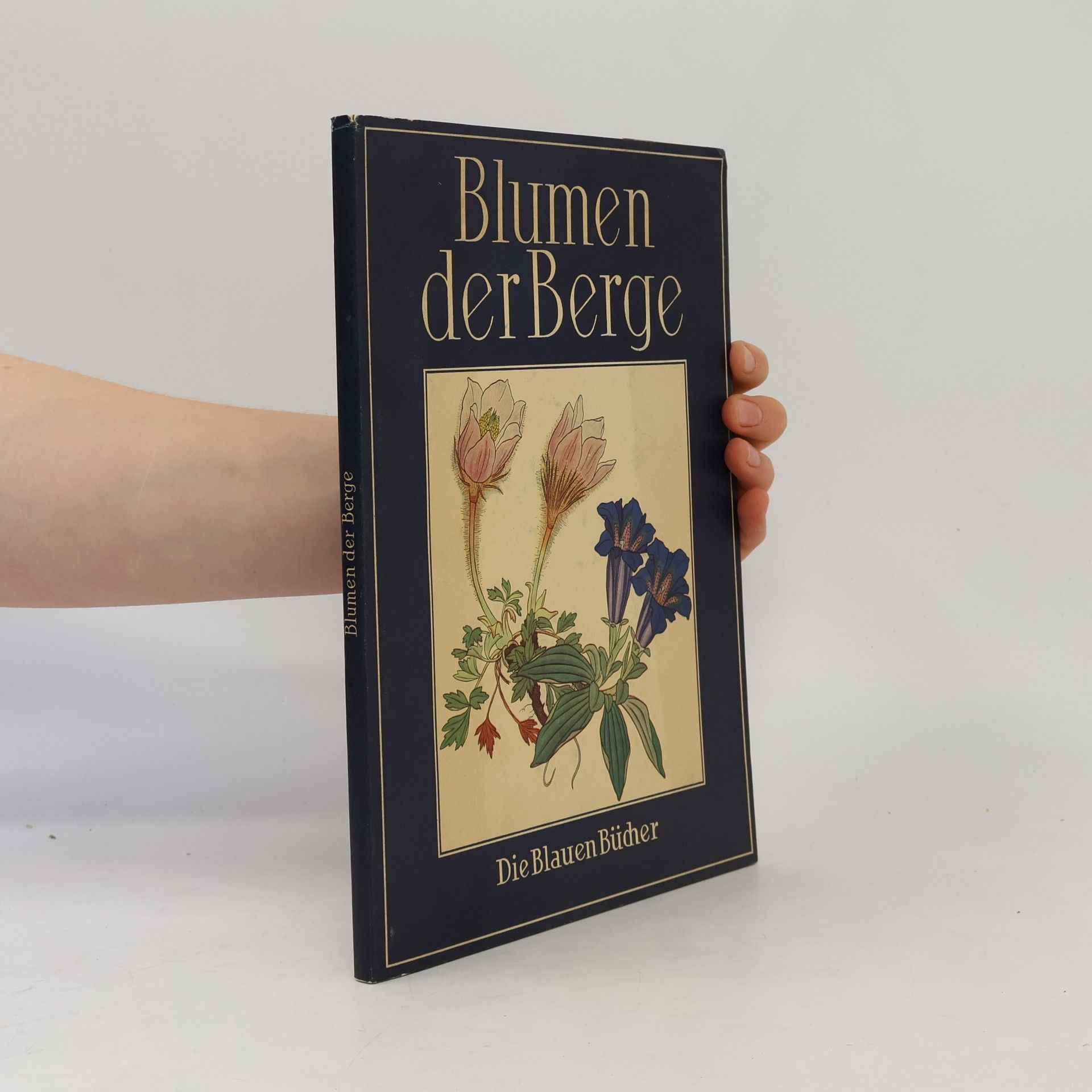 Autorenkollektiv Blumen der Berge