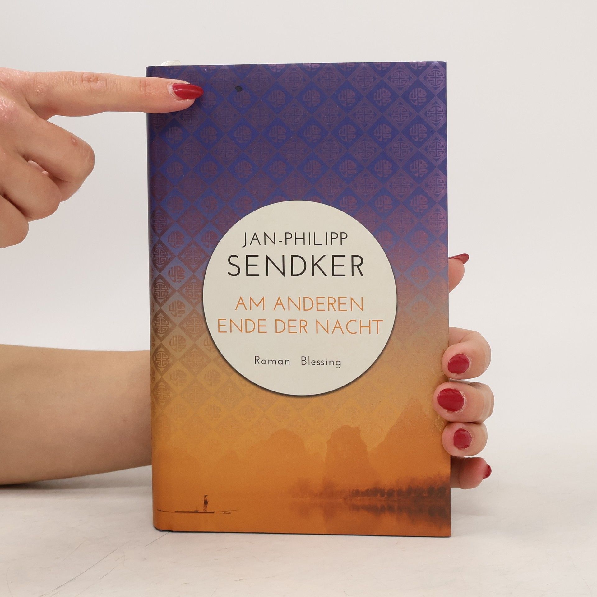 Jan-Philipp Sendker Am anderen Ende der Nacht