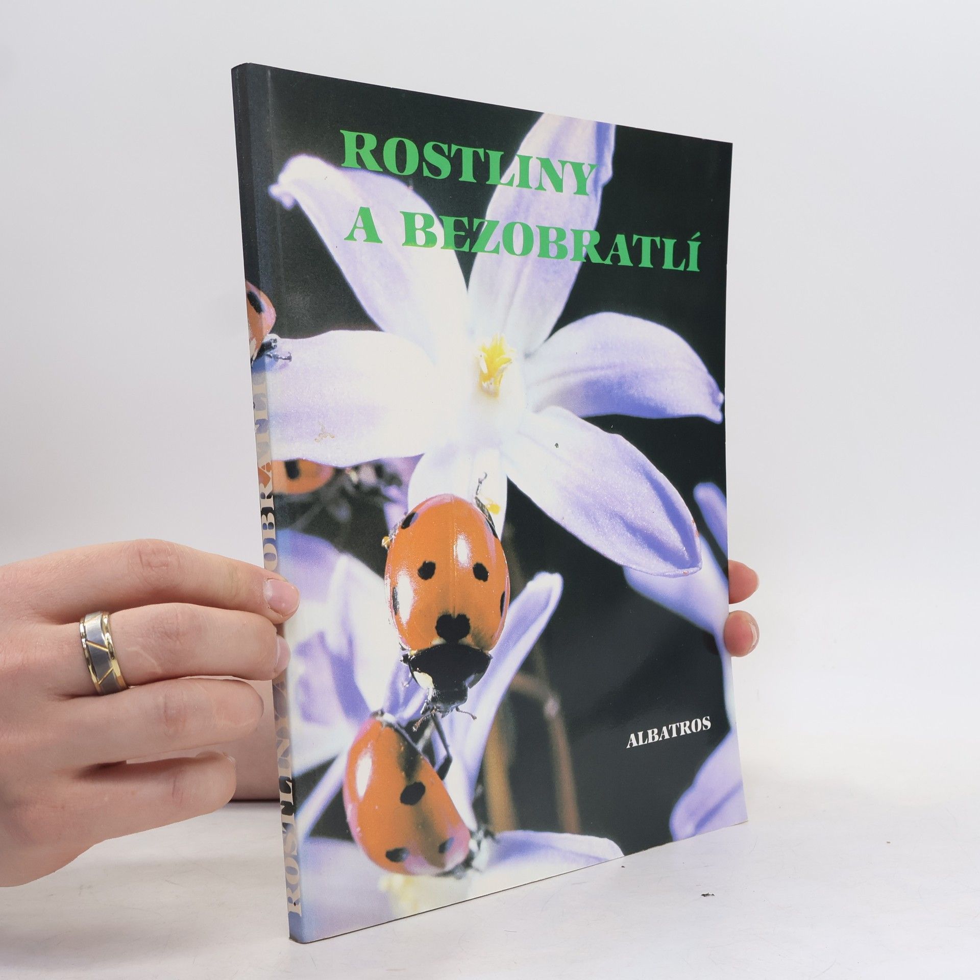 Rostliny a bezobratlí