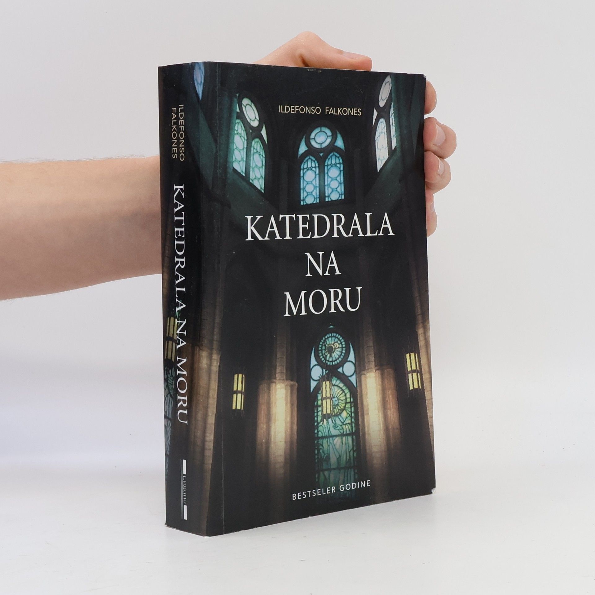 Ildefonso Falcones Katedrala na moru