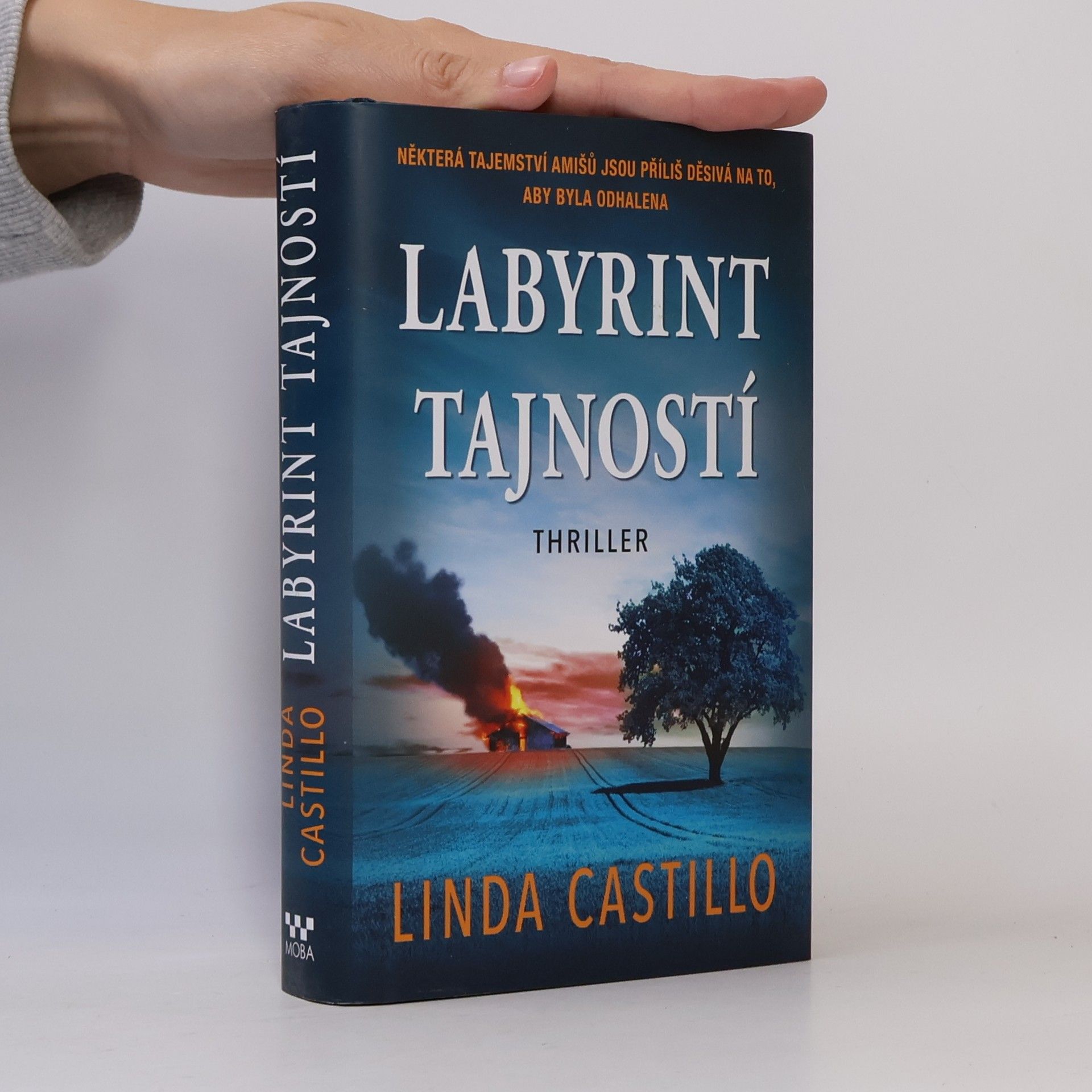 Linda Castillo Labyrint tajností