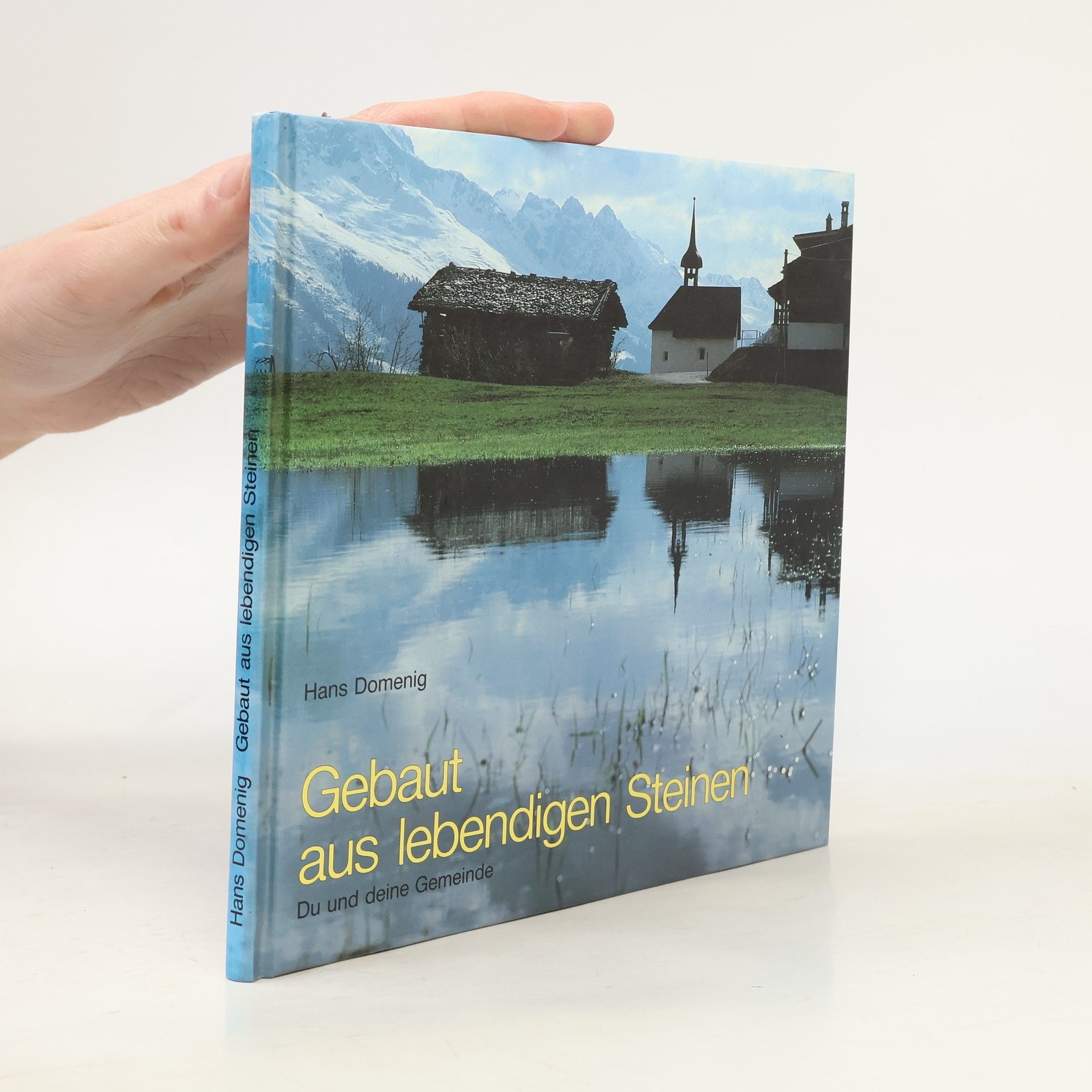 Hans Domenig Gebaut aus lebendigen Steinen