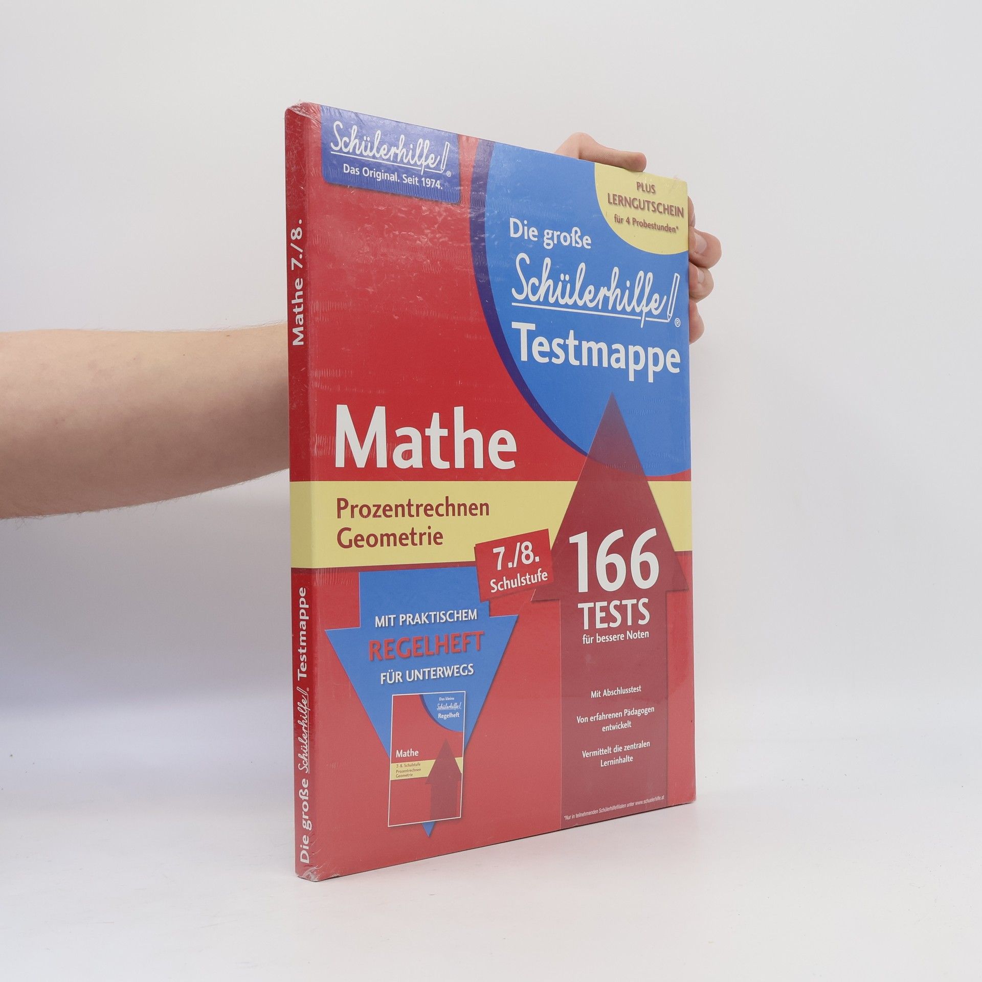 Autorenkollektiv Die große Schülerhilfe Testmappe Mathe 7./8. Klasse