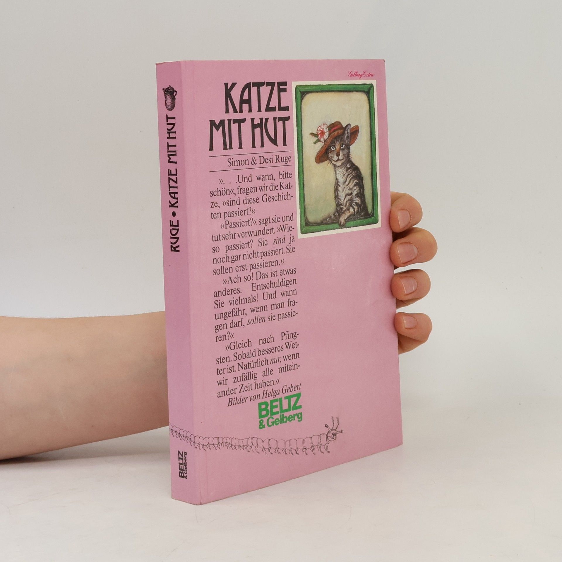 Desi Ruge Katze mit Hut. Roman für Kinder in zehn Geschichten.