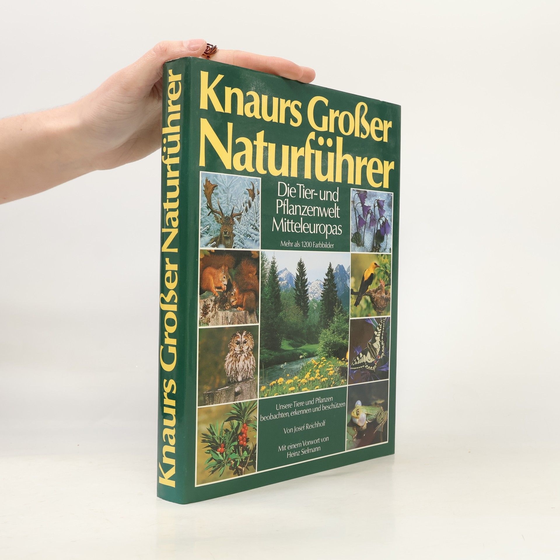 Josef H. Reichholf Knaurs Großer Naturführer. Die Tier- und Pflanzenwelt Mitteleuropas