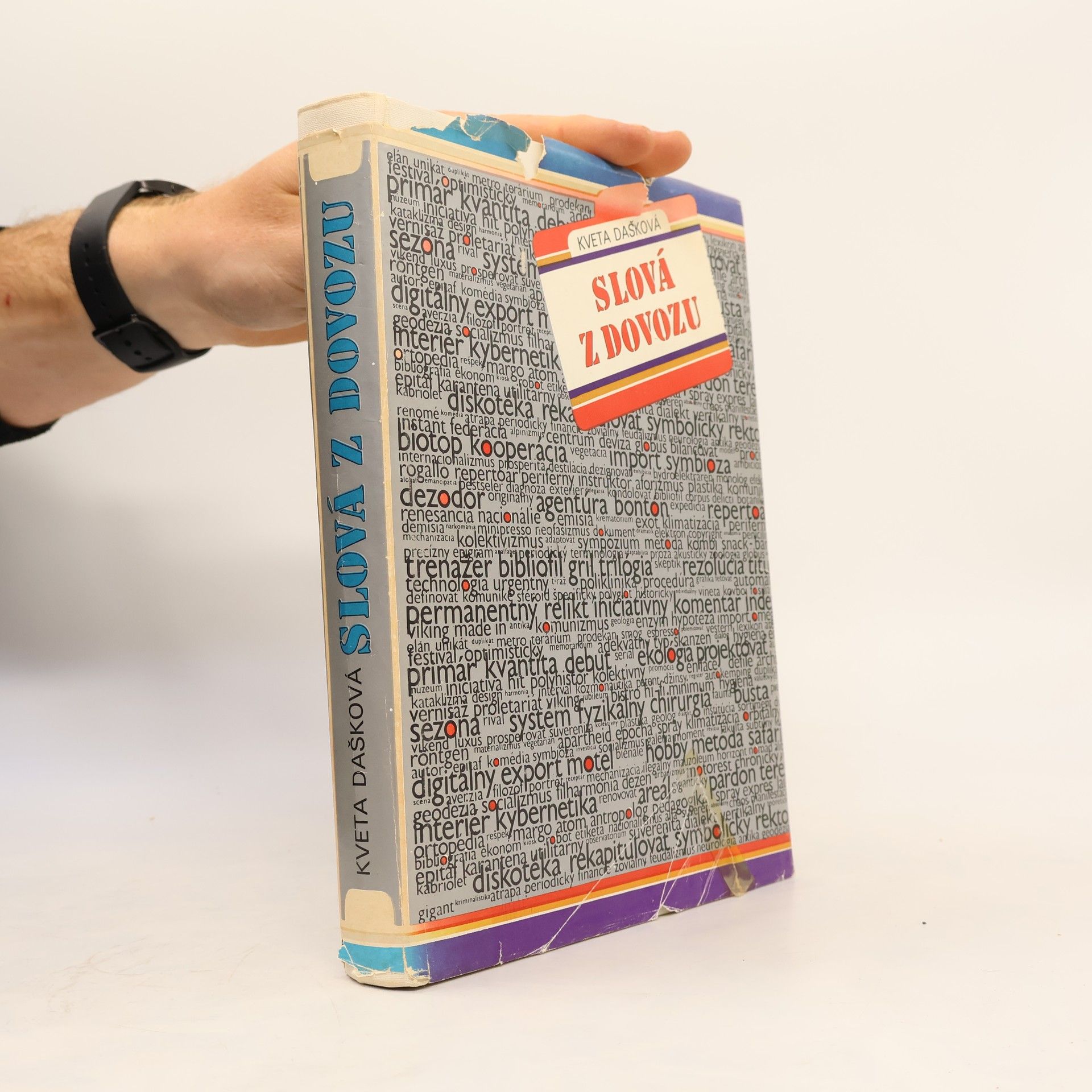 Kveta Dašková Slová z dovozu