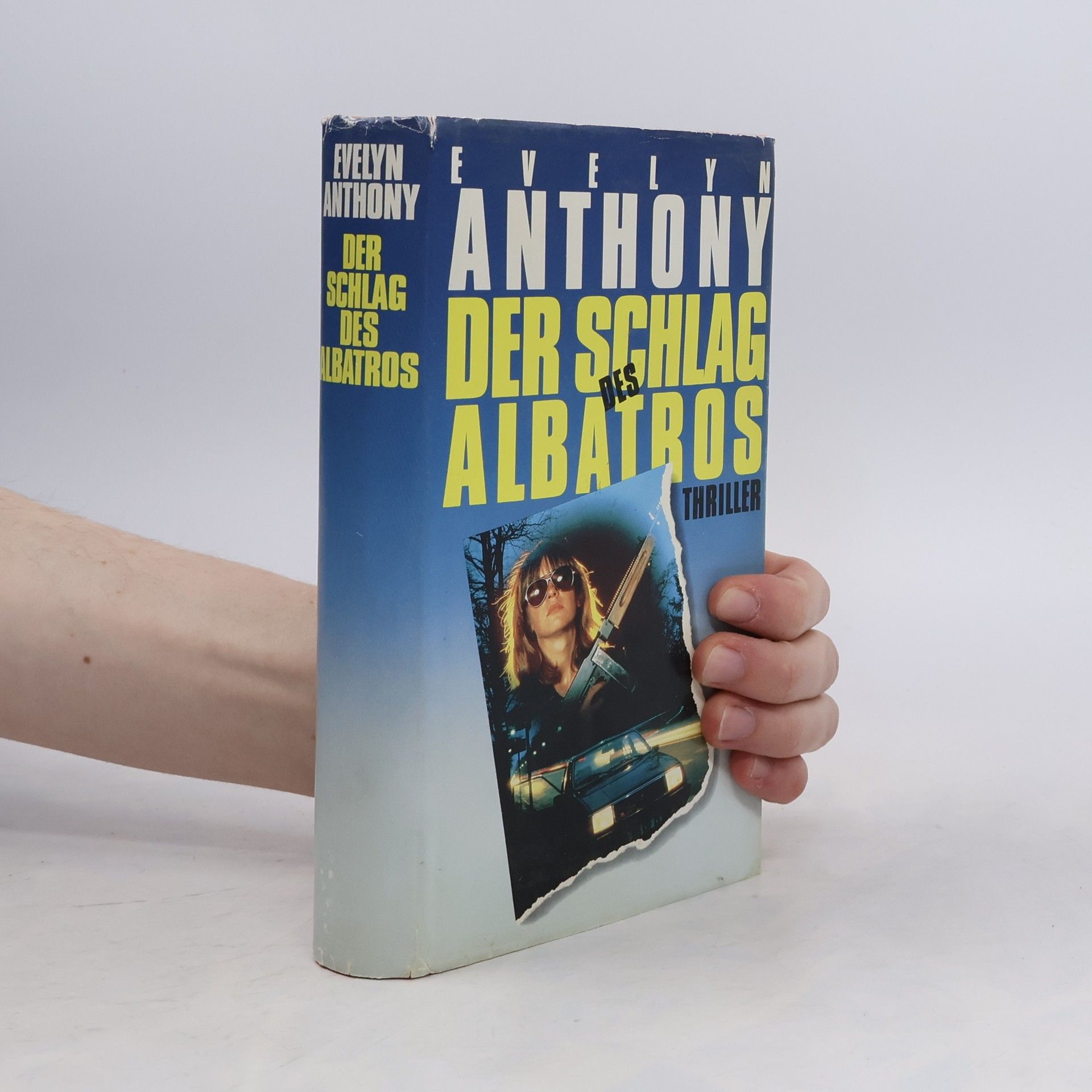 Evelyn Athony Der Schlag des Albatros