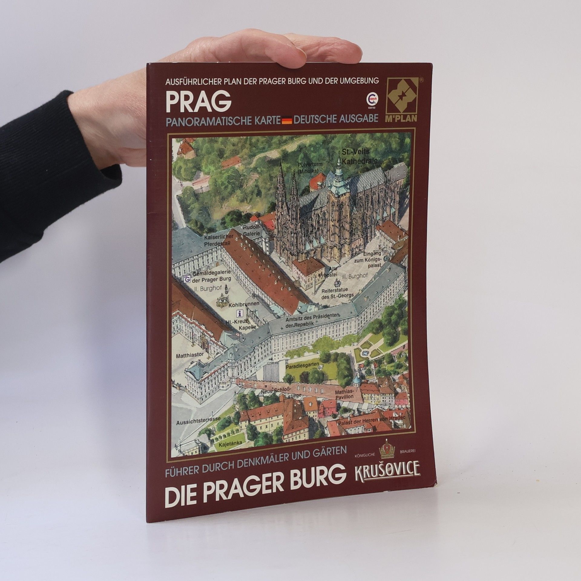 Vladimir Rimal Die Prager Burg