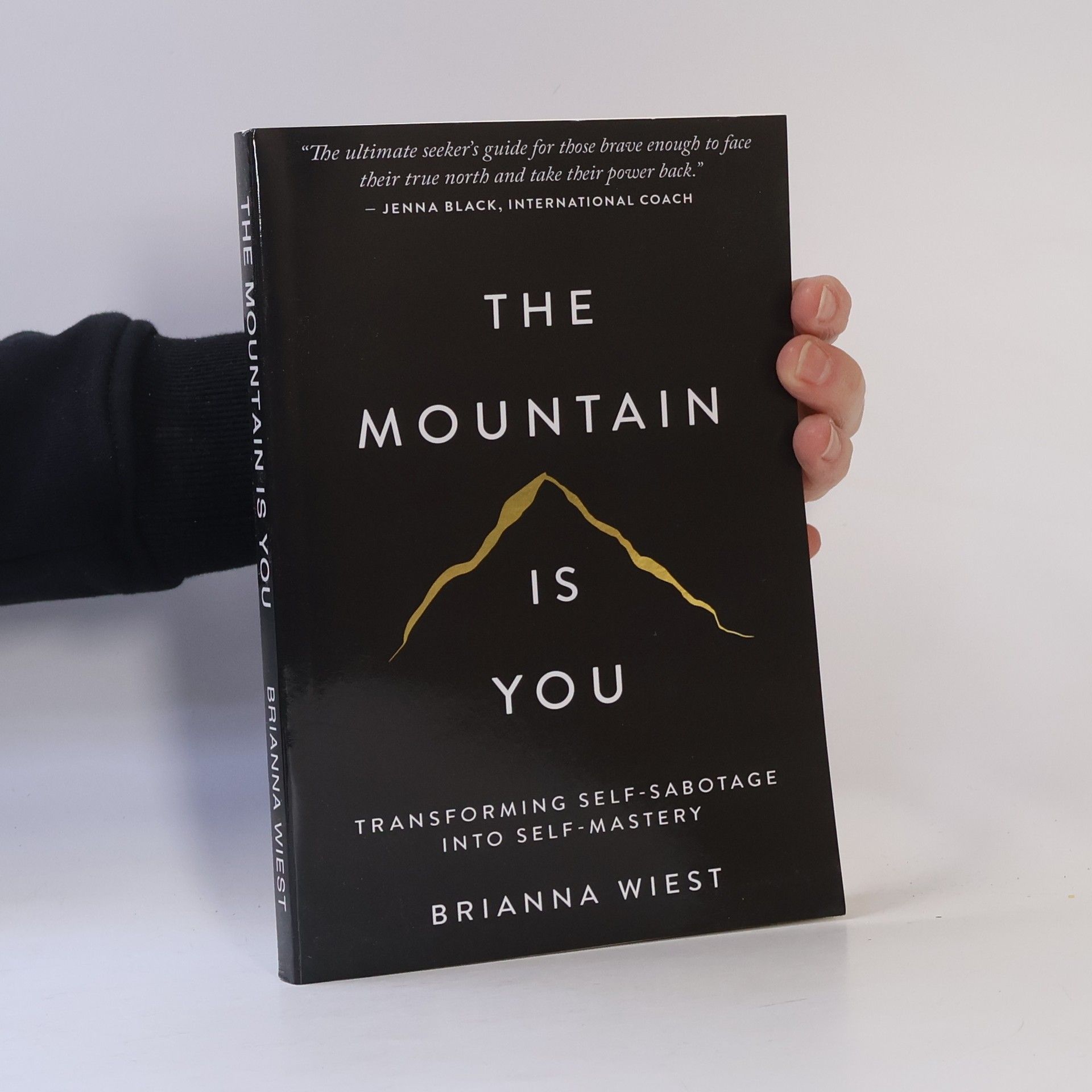 Brianna Wiest The Mountain Is You