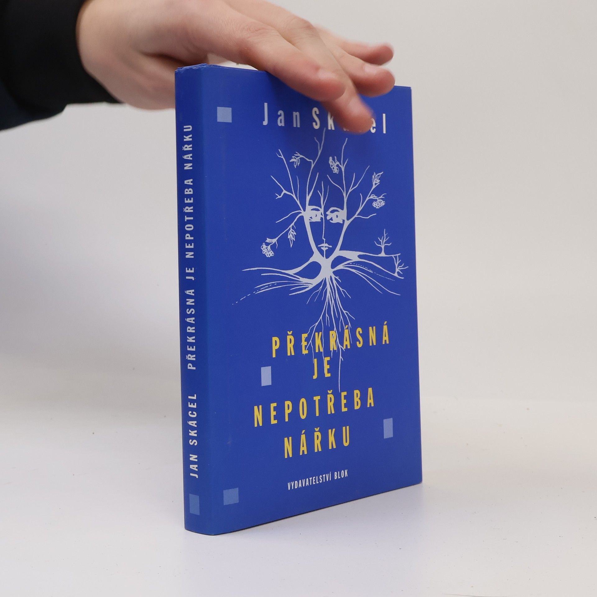 Překrásná je nepotřeba nářku