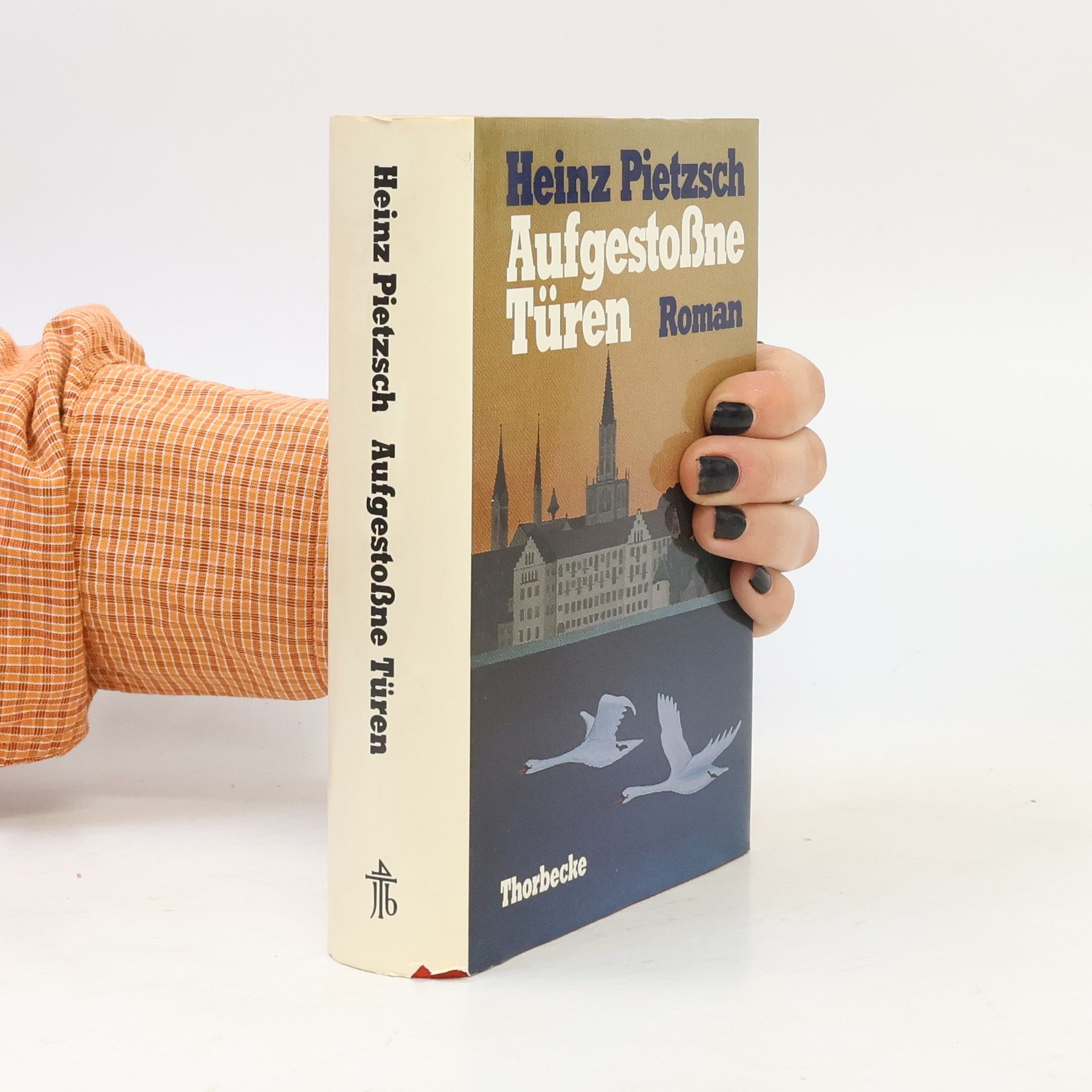 Heinz Pietzsch Aufgestossne Türen