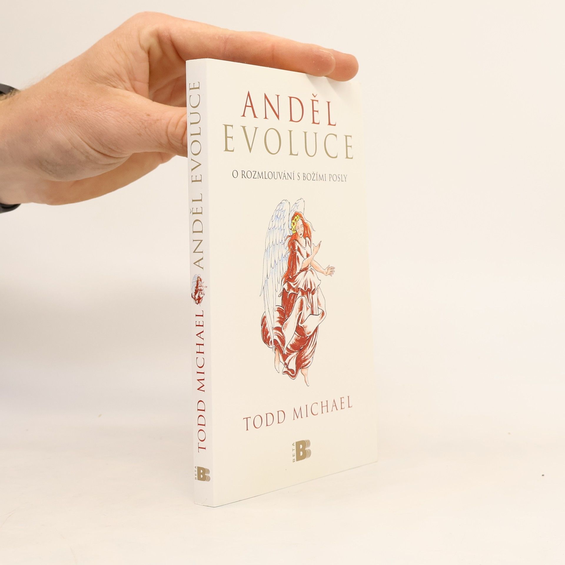 Todd Michael Anděl evoluce