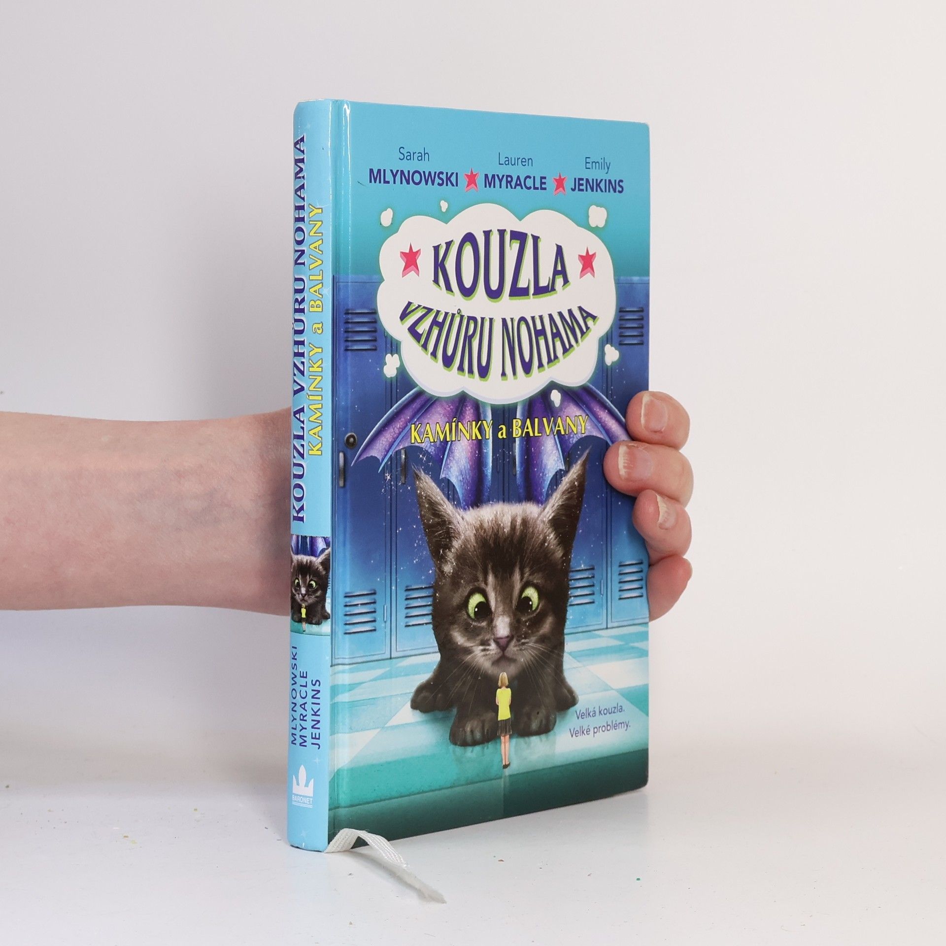 Sarah Mlynowska Kamínky a balvany