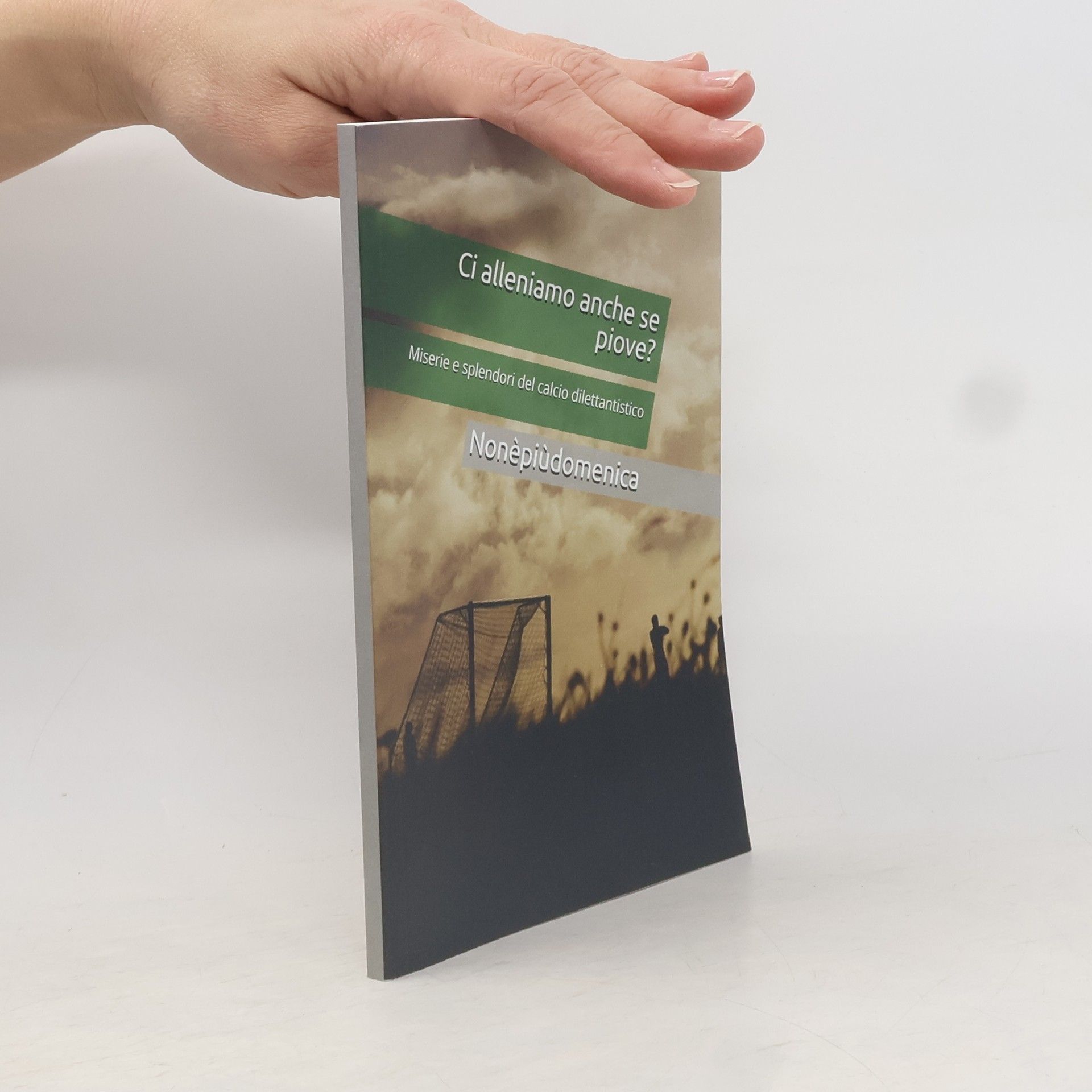 Autorenkollektiv Ci alleniamo anche se piove?