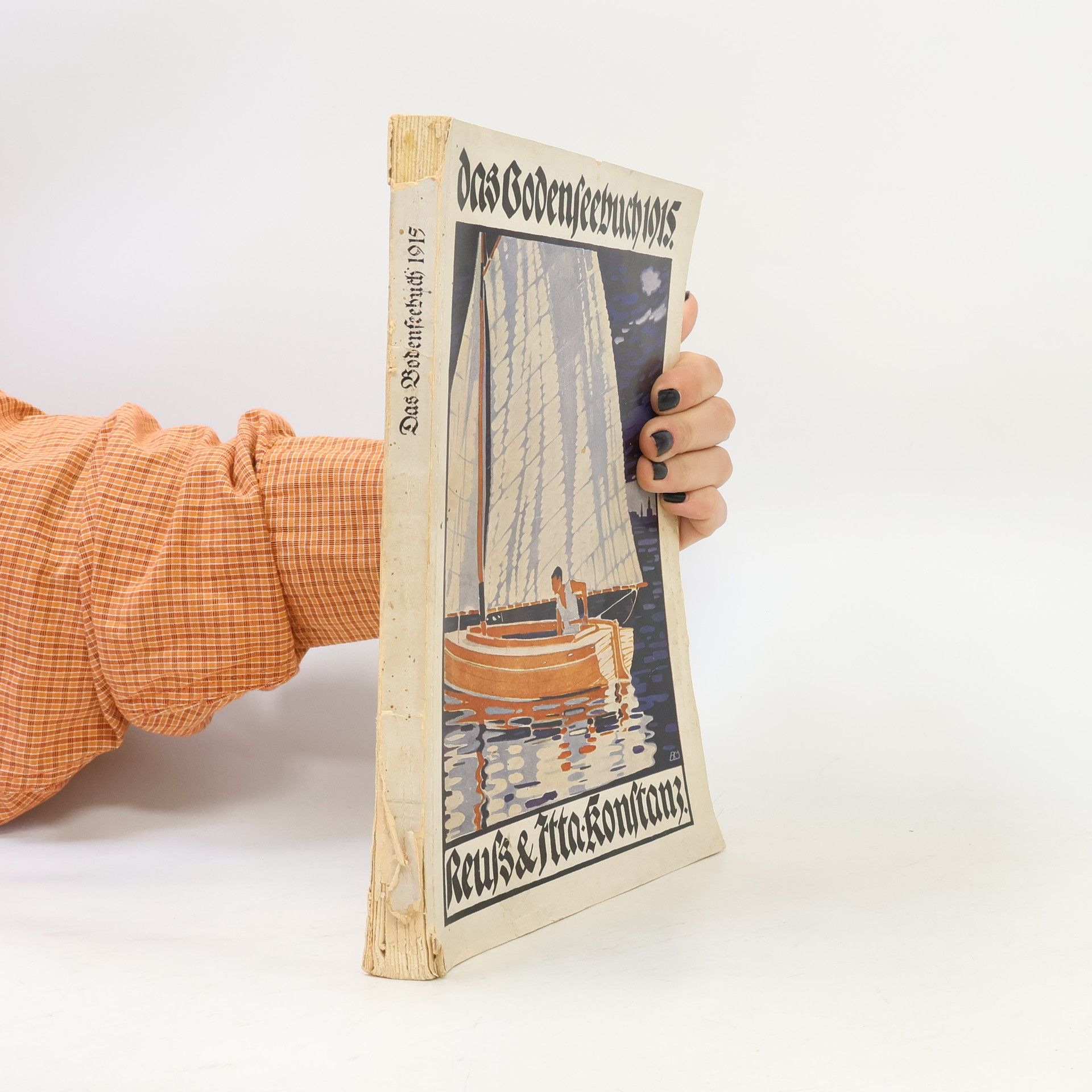 Kolektiv autorů Das Bodenseebuch