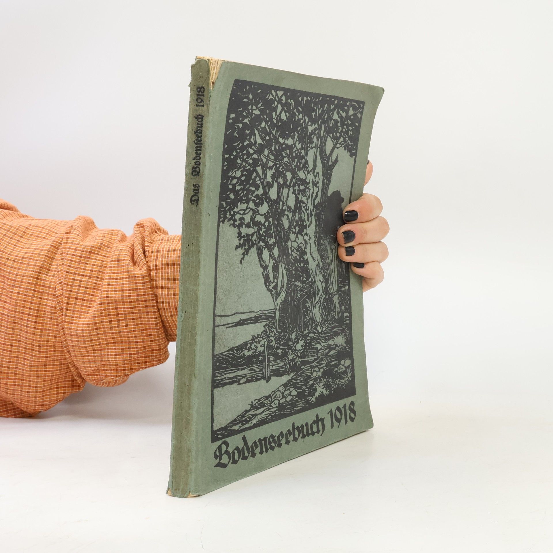 Kolektív autorov Bodenseebuch