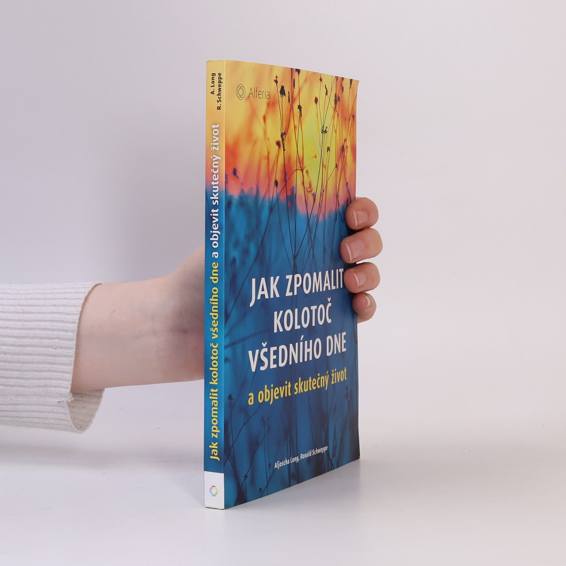 Ronald Pierre Schweppe Jak zpomalit kolotoč všedního dne a objevit skutečný život