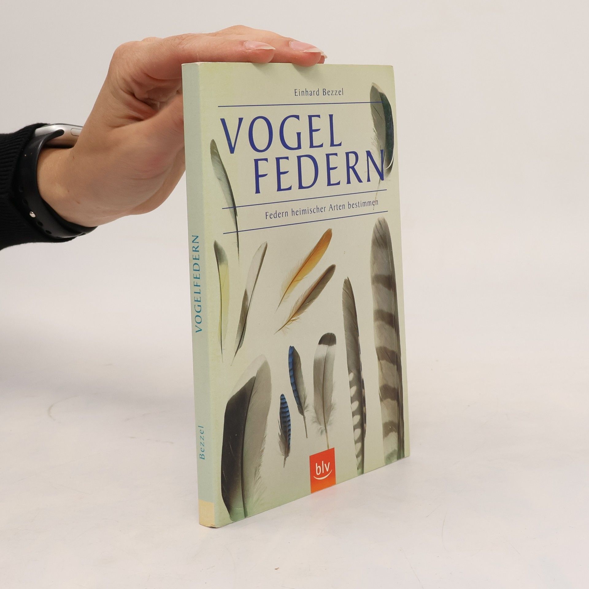 Einhard Bezzel Vogelfedern