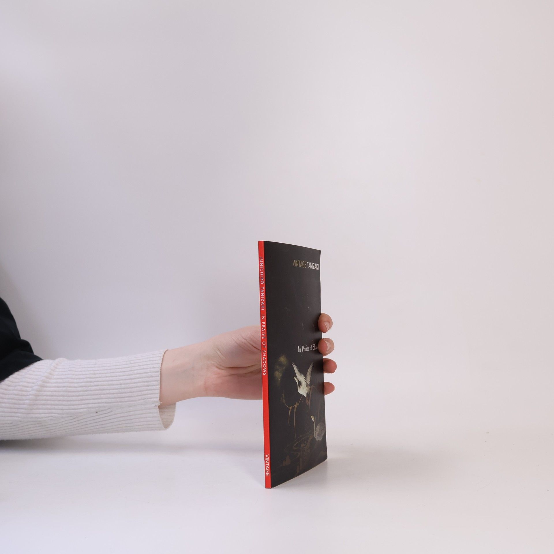 In praise of shadows