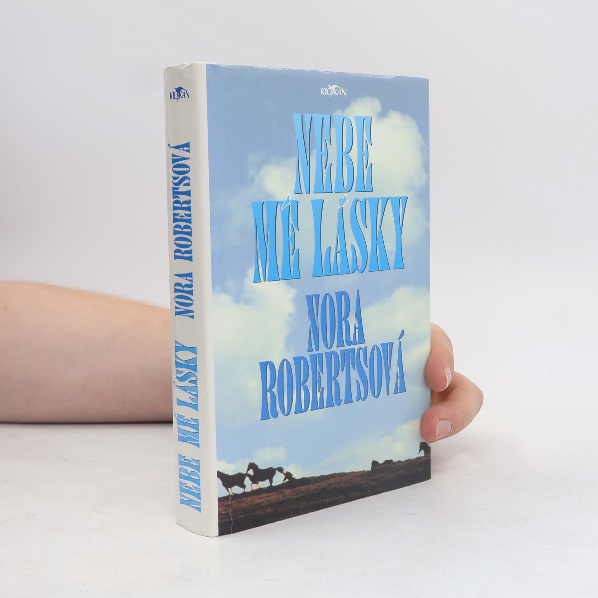 Nora Roberts Nebe mé lásky