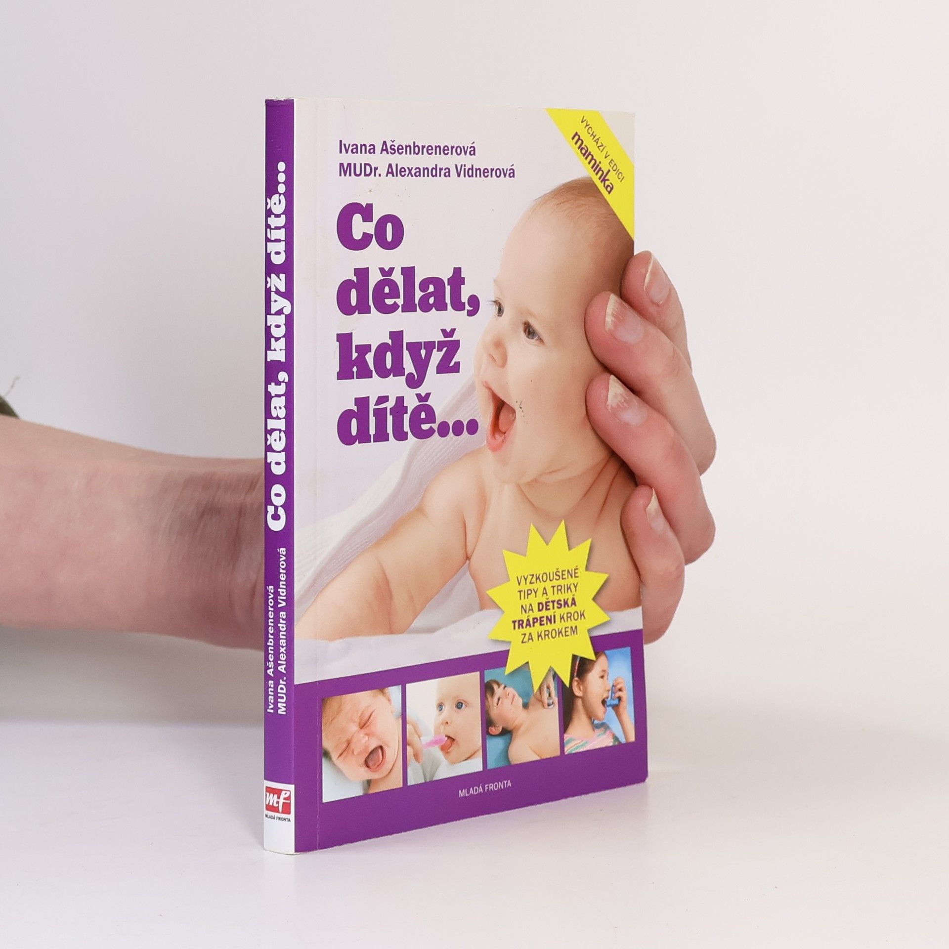 Ivana Ašenbrenerová Co dělat, když dítě...