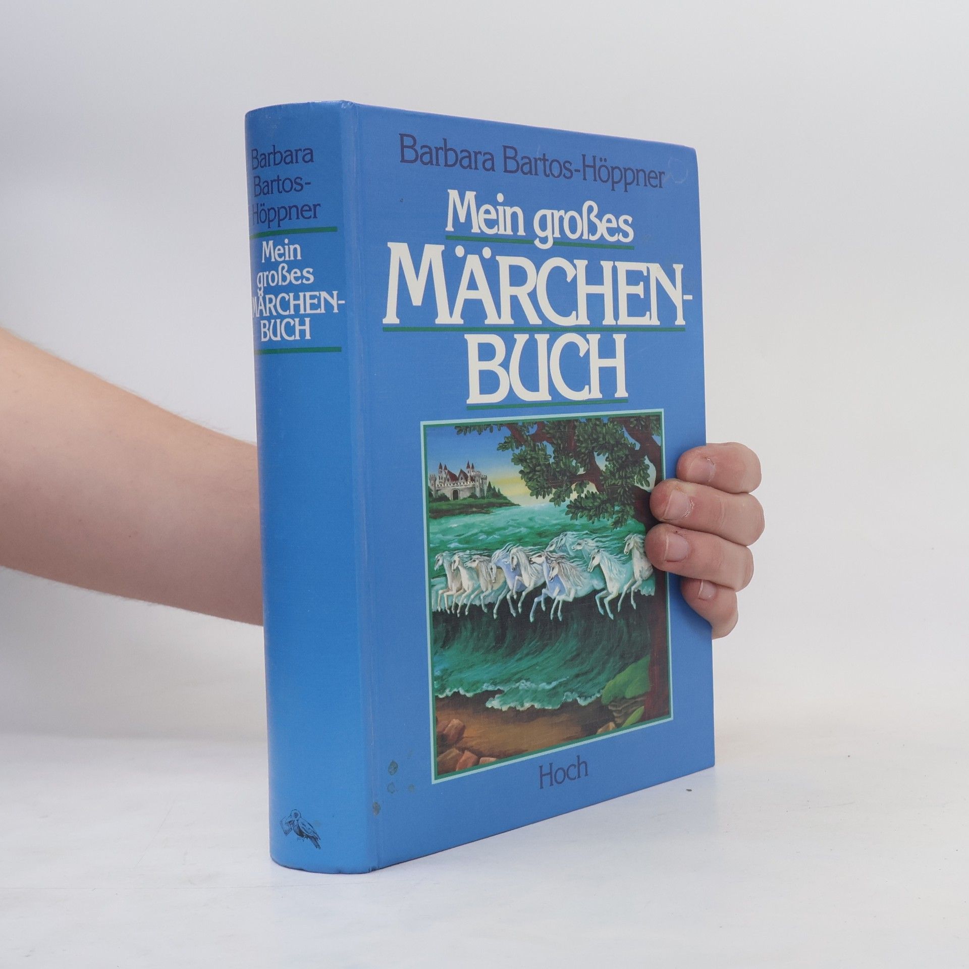 Barbara Bartos-Höppner Mein grosses Märchenbuch