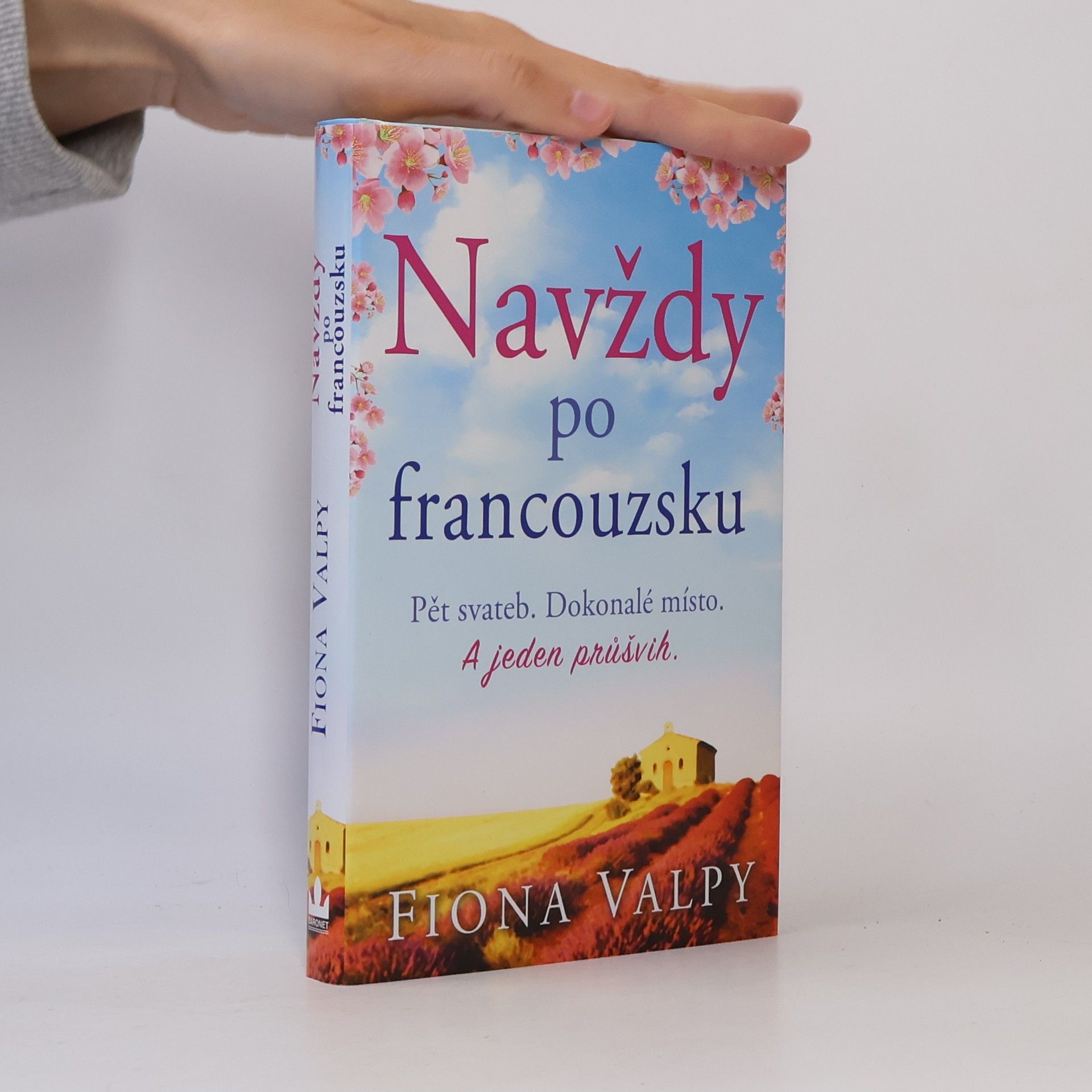 Fiona Valpy Navždy po francouzsku