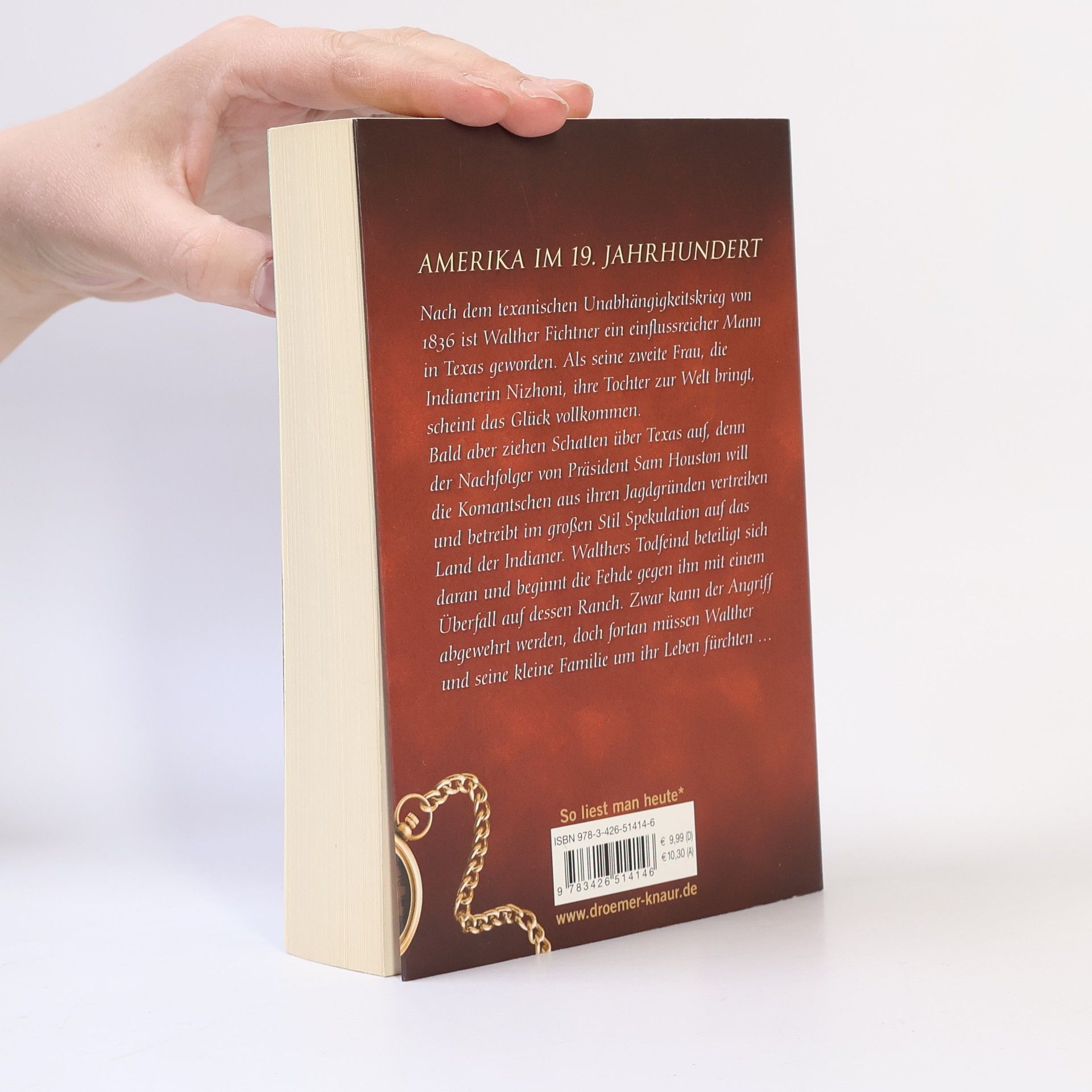 Iny Lorentz Das wilde Land