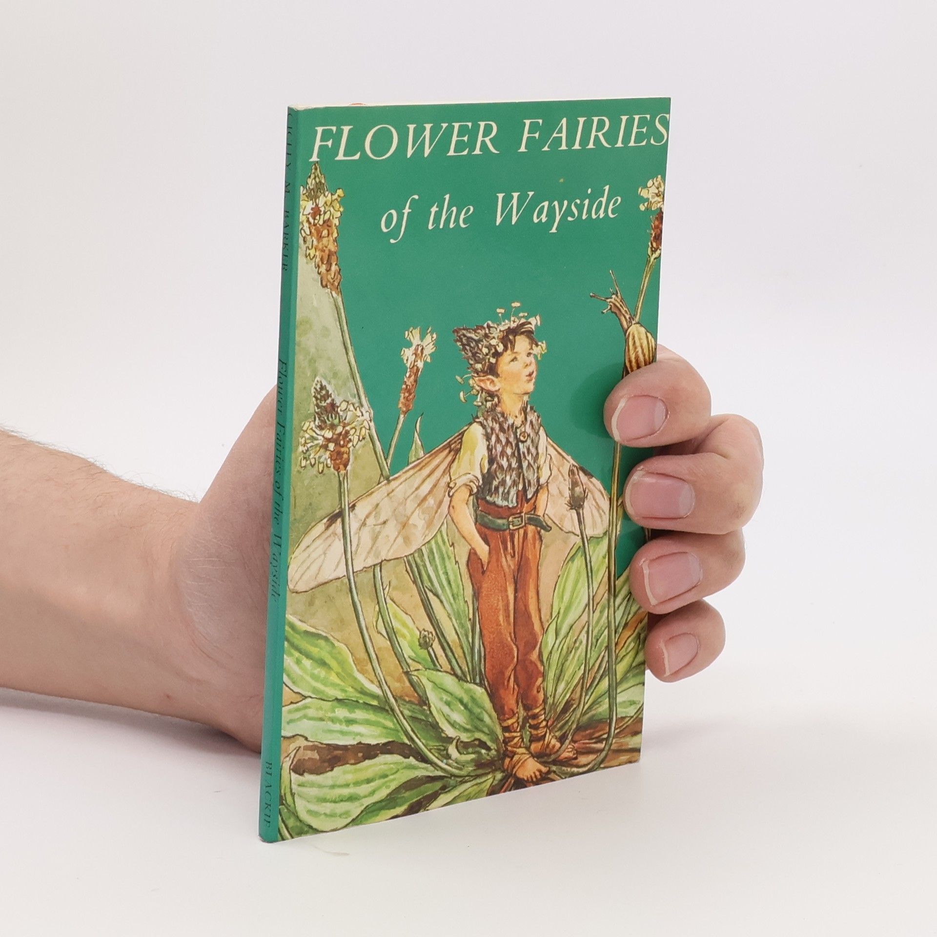 Cicely Mary Barker Flower Fairies of the Wayside