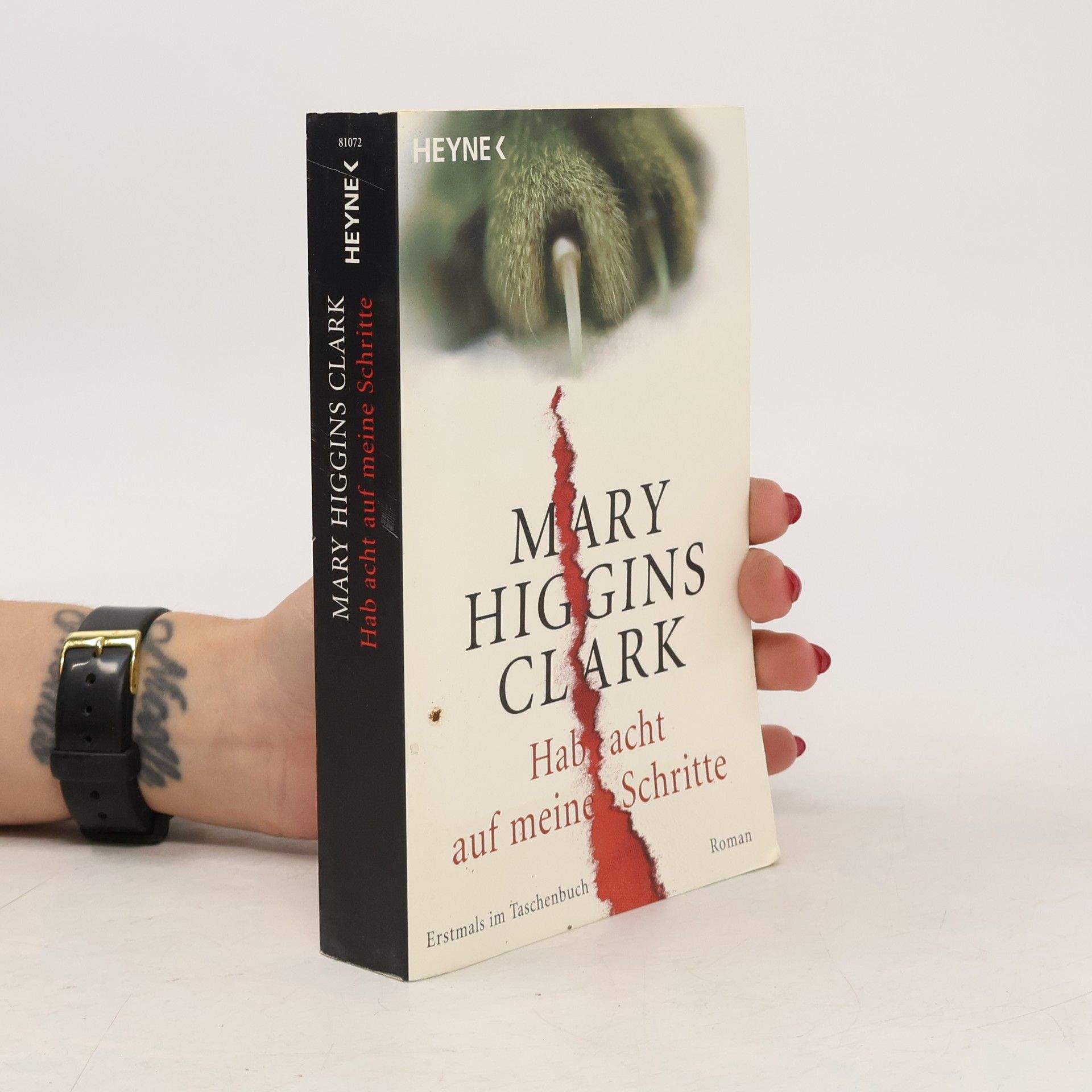 Mary Higgins Clark Hab acht auf meine Schritte