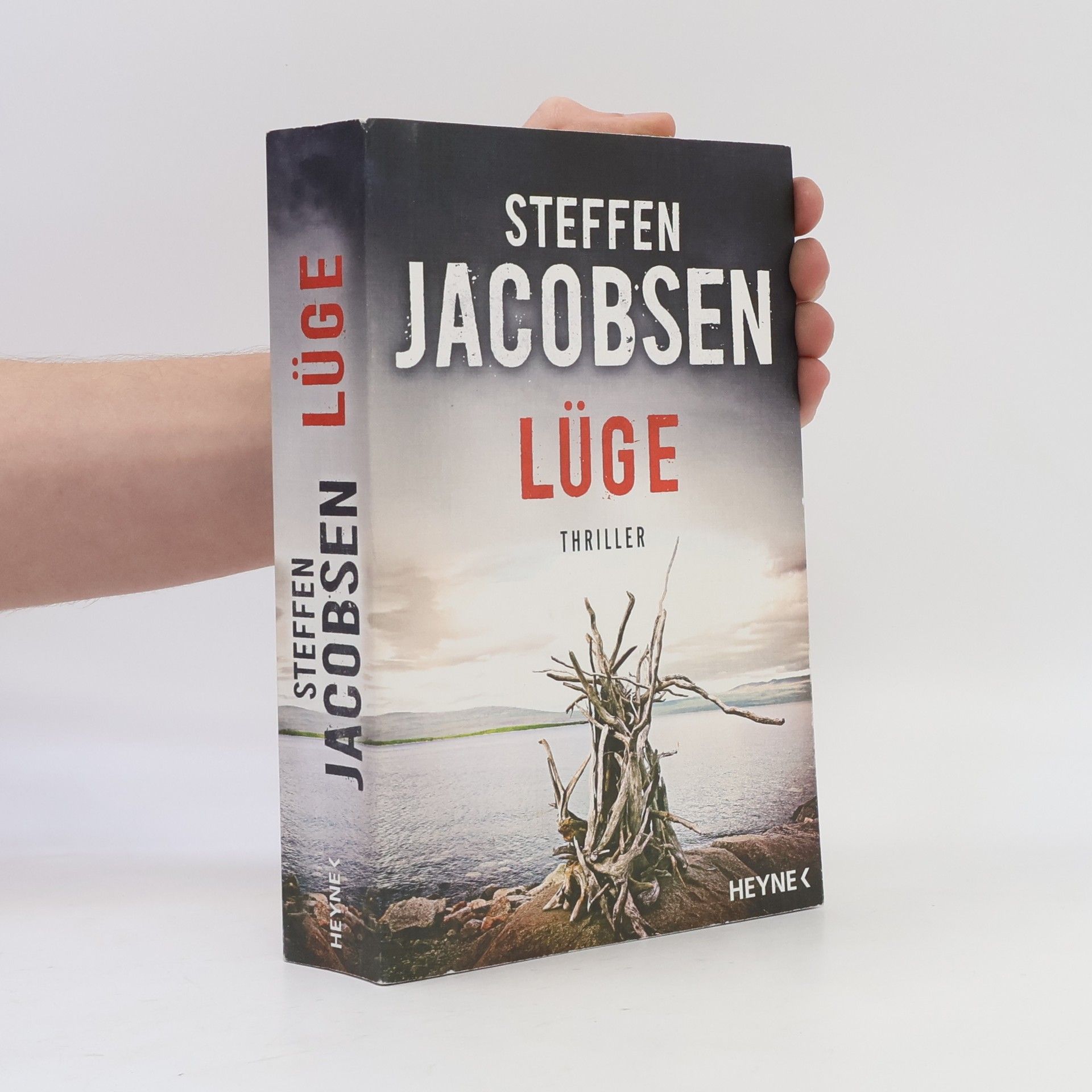 Steffen Jacobsen Lüge