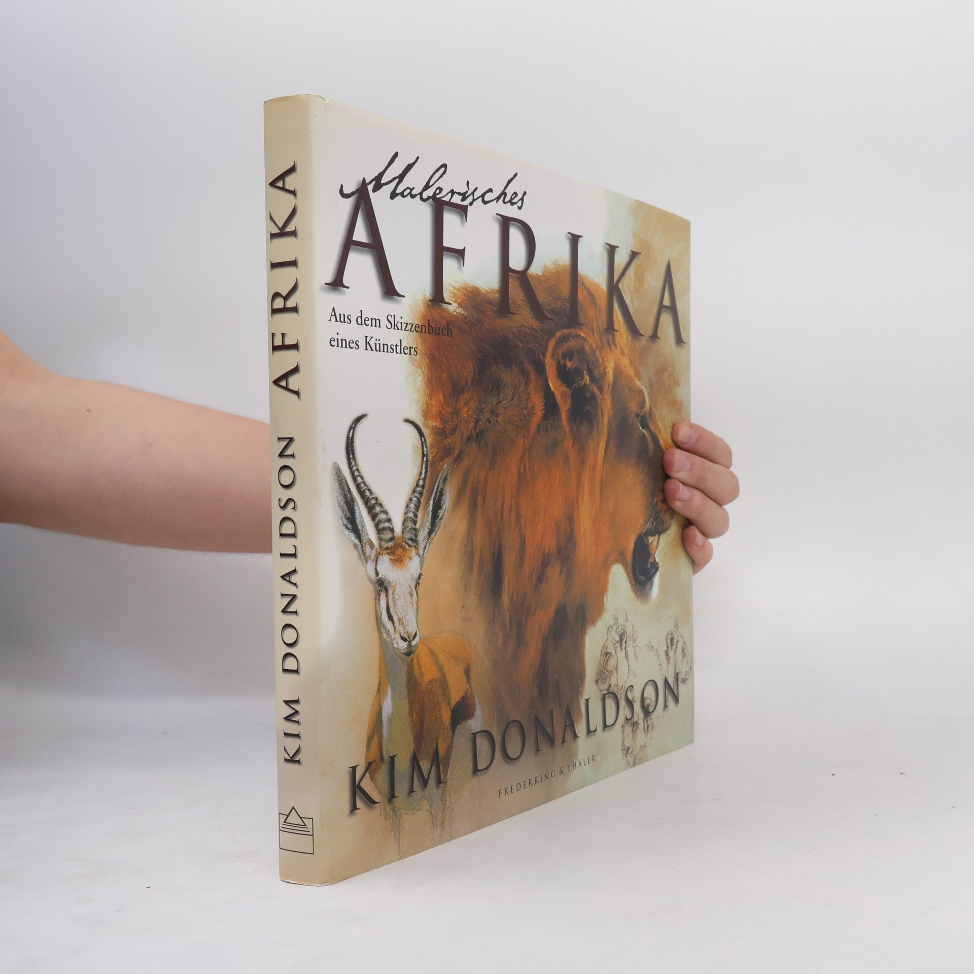 Kim Donaldson Malerisches Afrika