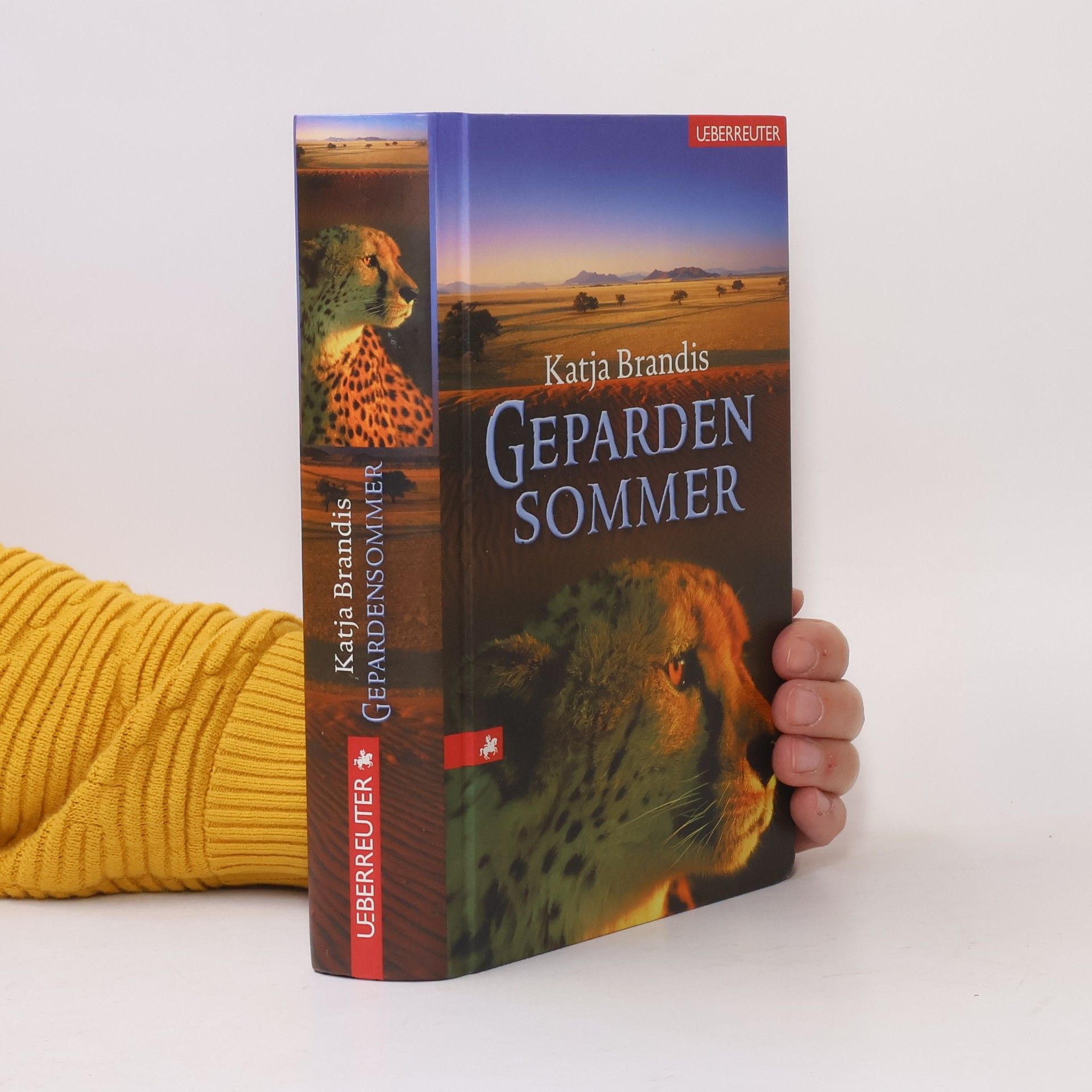 Katja Brandis Gepardensommer