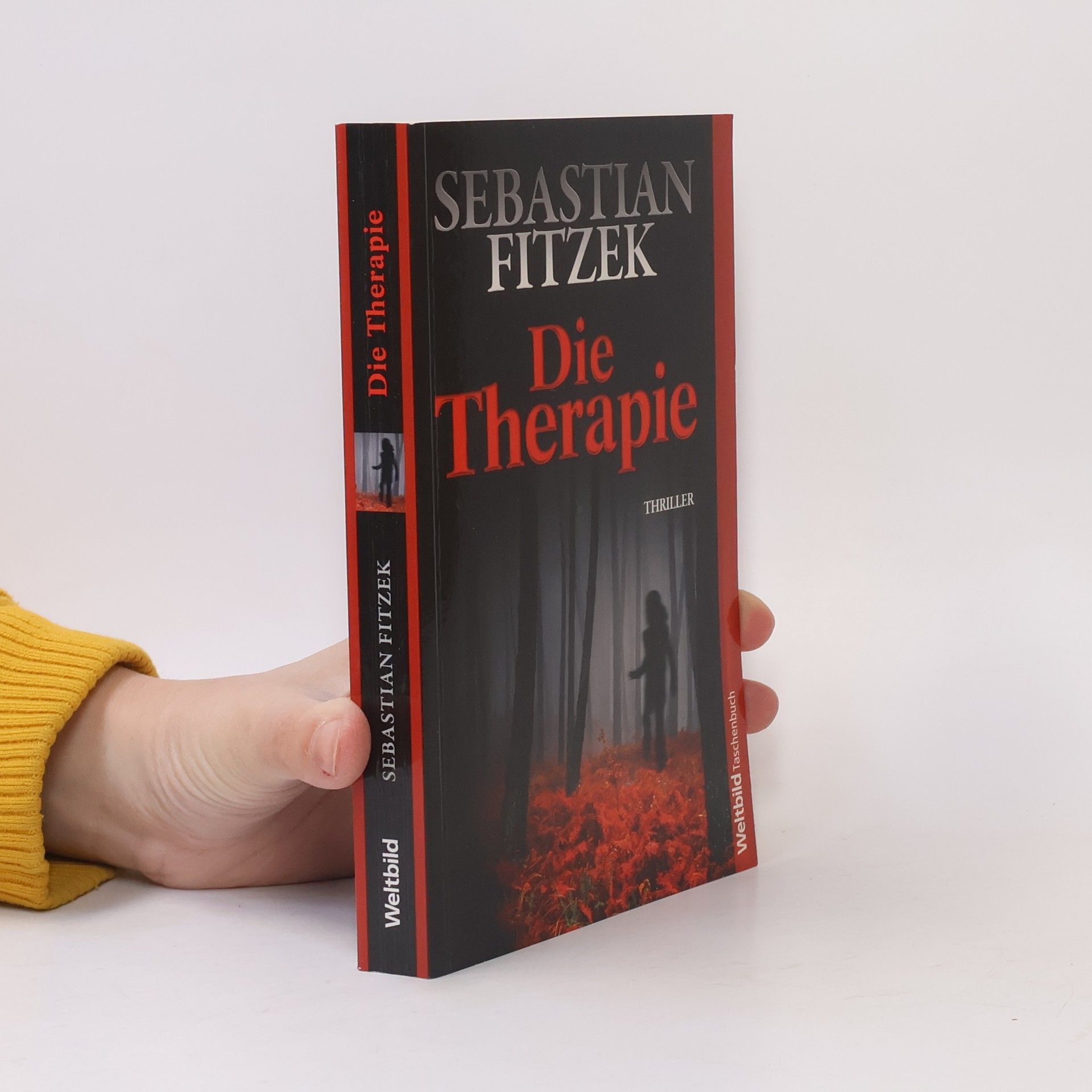 Sebastian Fitzek Die Therapie