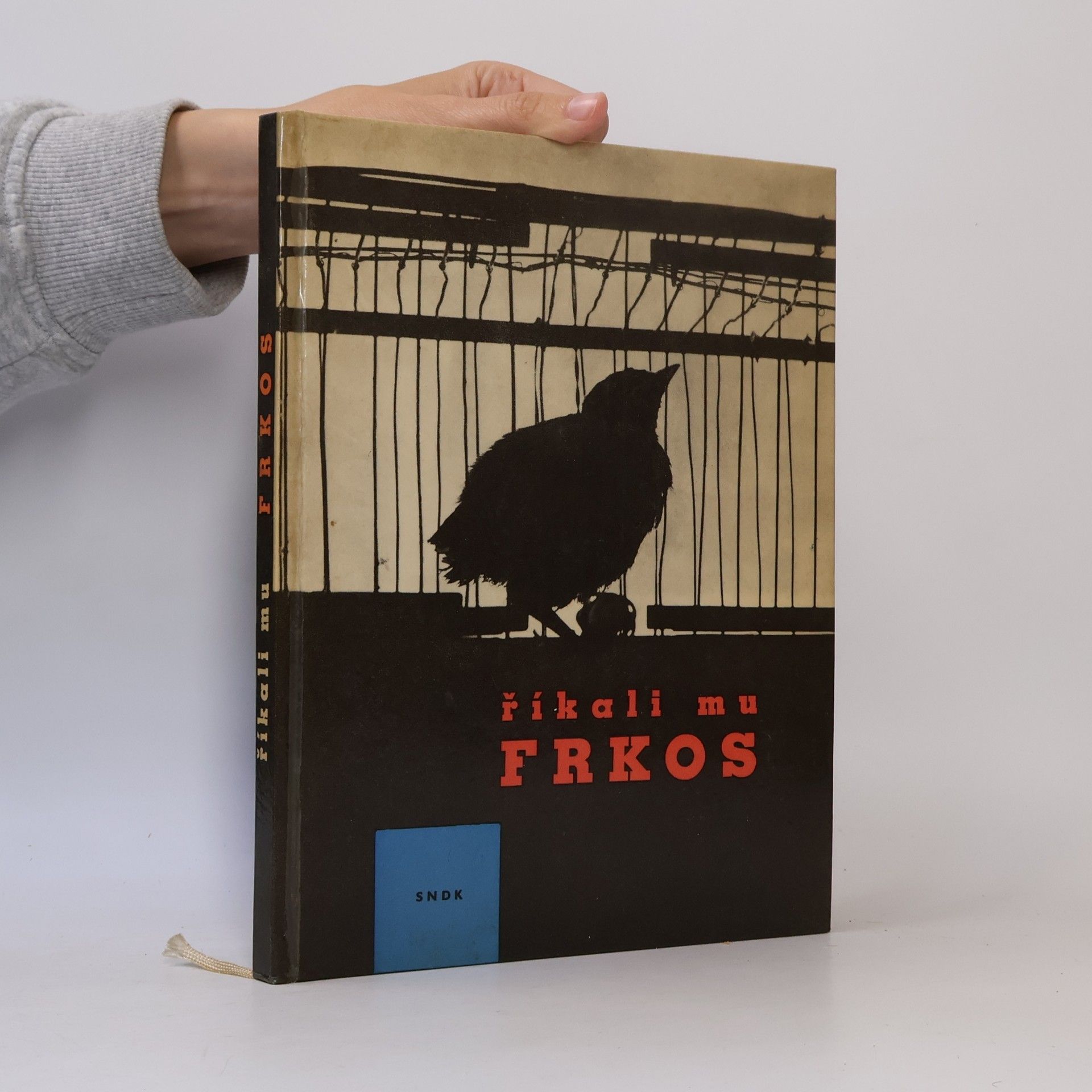 Pavel Kohout Říkali mu Frkos