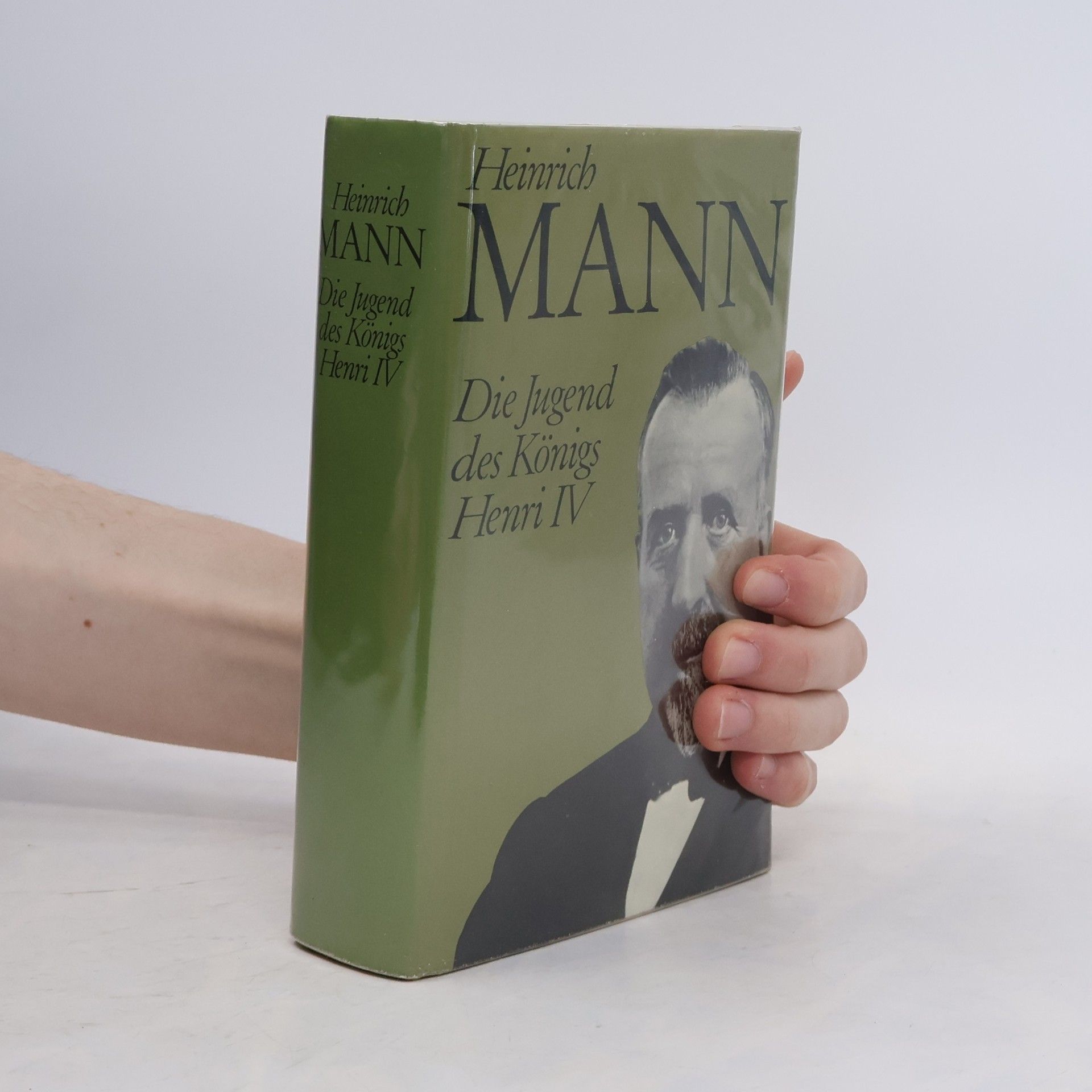 Heinrich Mann Die Jugend des Königs Henri IV