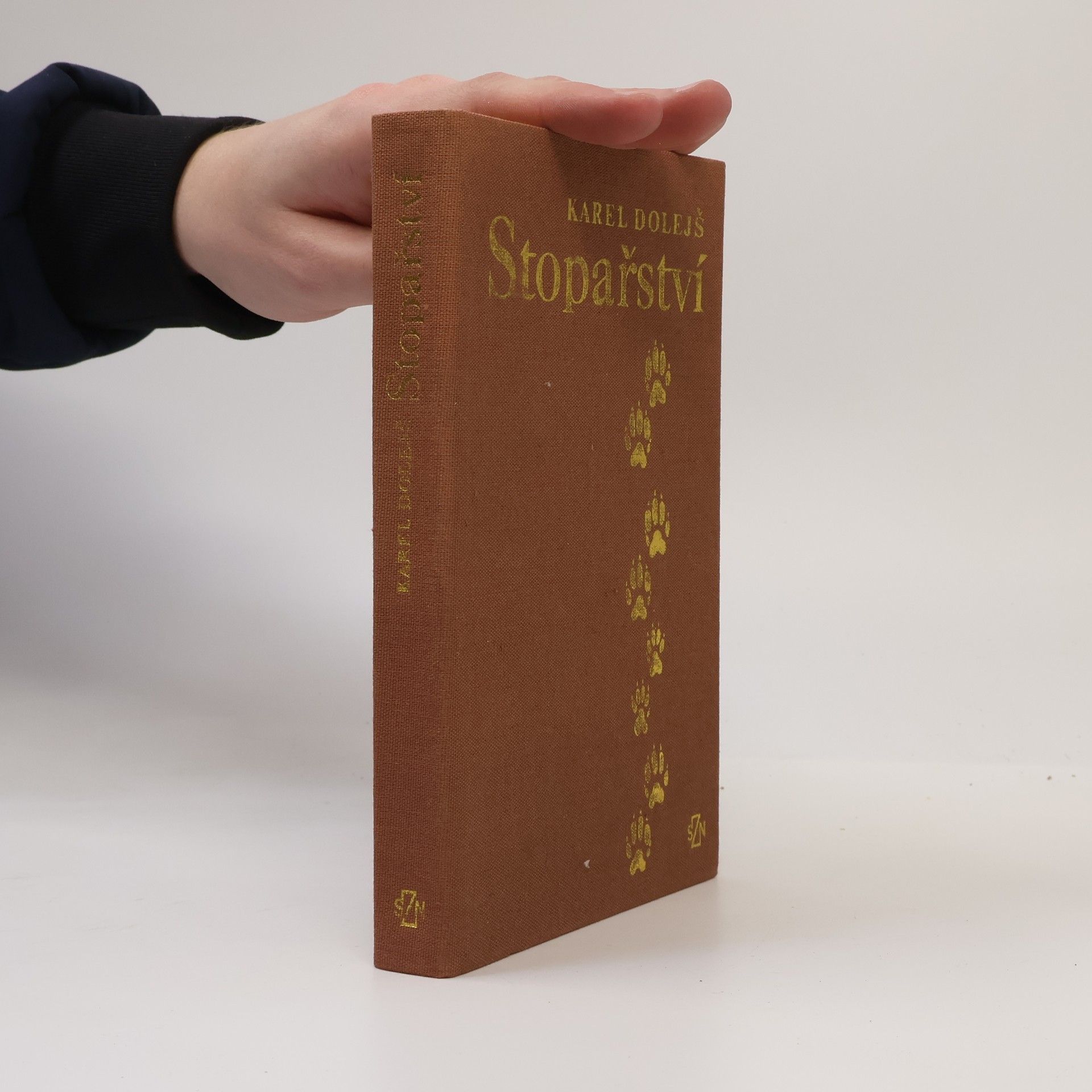 Karel Dolejš Stopařství